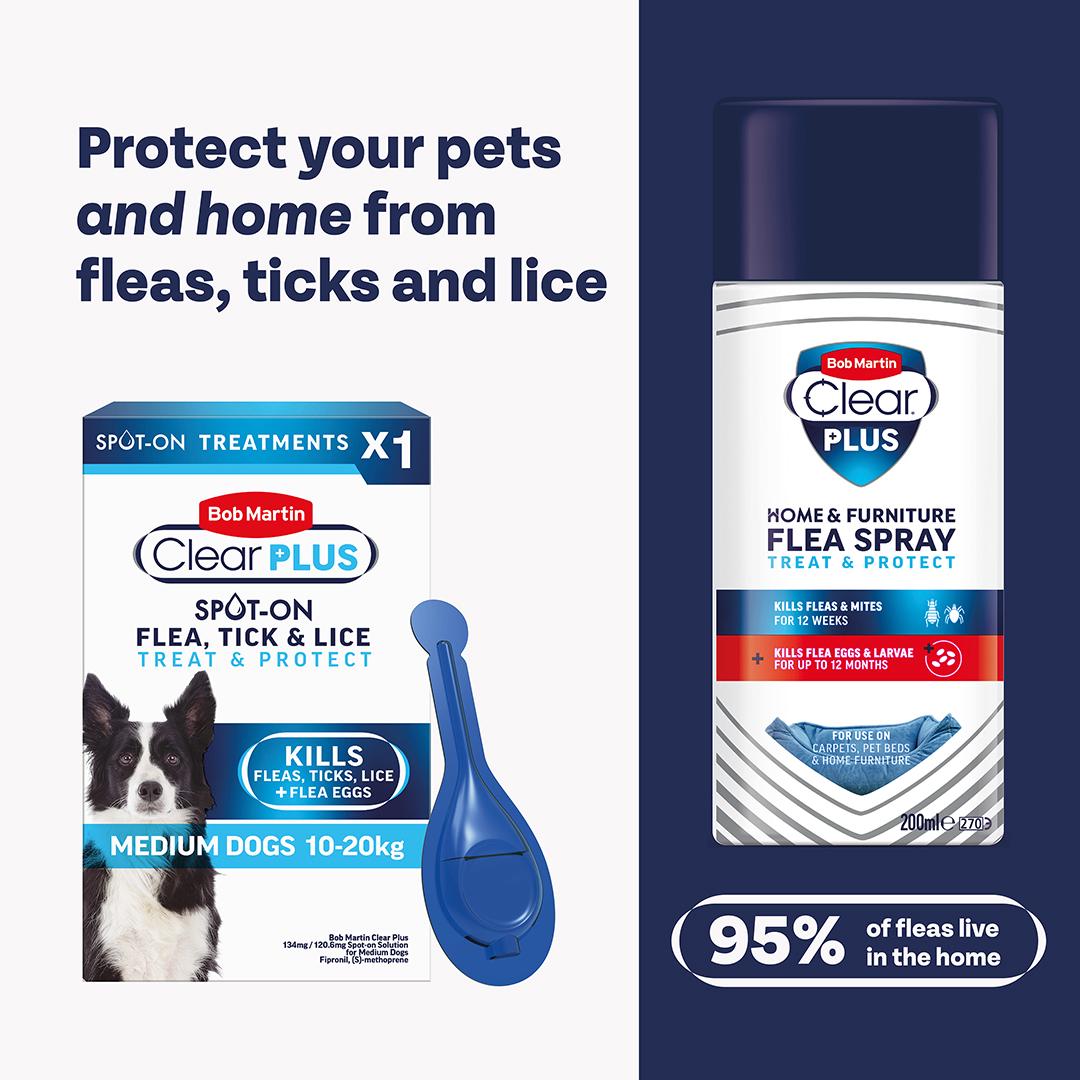 Bob Martin Clear Plus Spot On Flea & Tick Treatment for Medium Dogs thumbnail 5