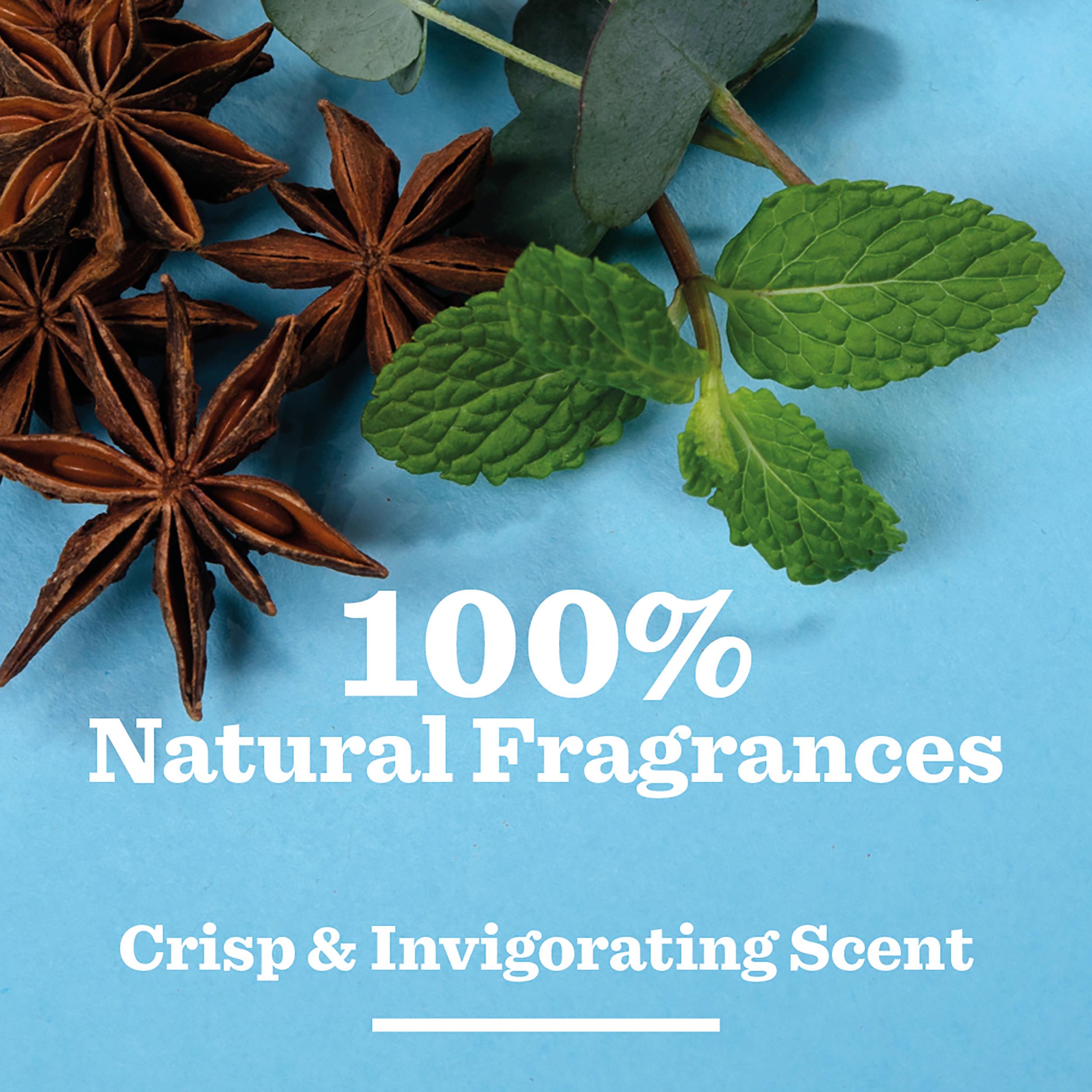 Bulldog Skincare Peppermint & Eucalyptus Natural Deodorant 75ml thumbnail 3