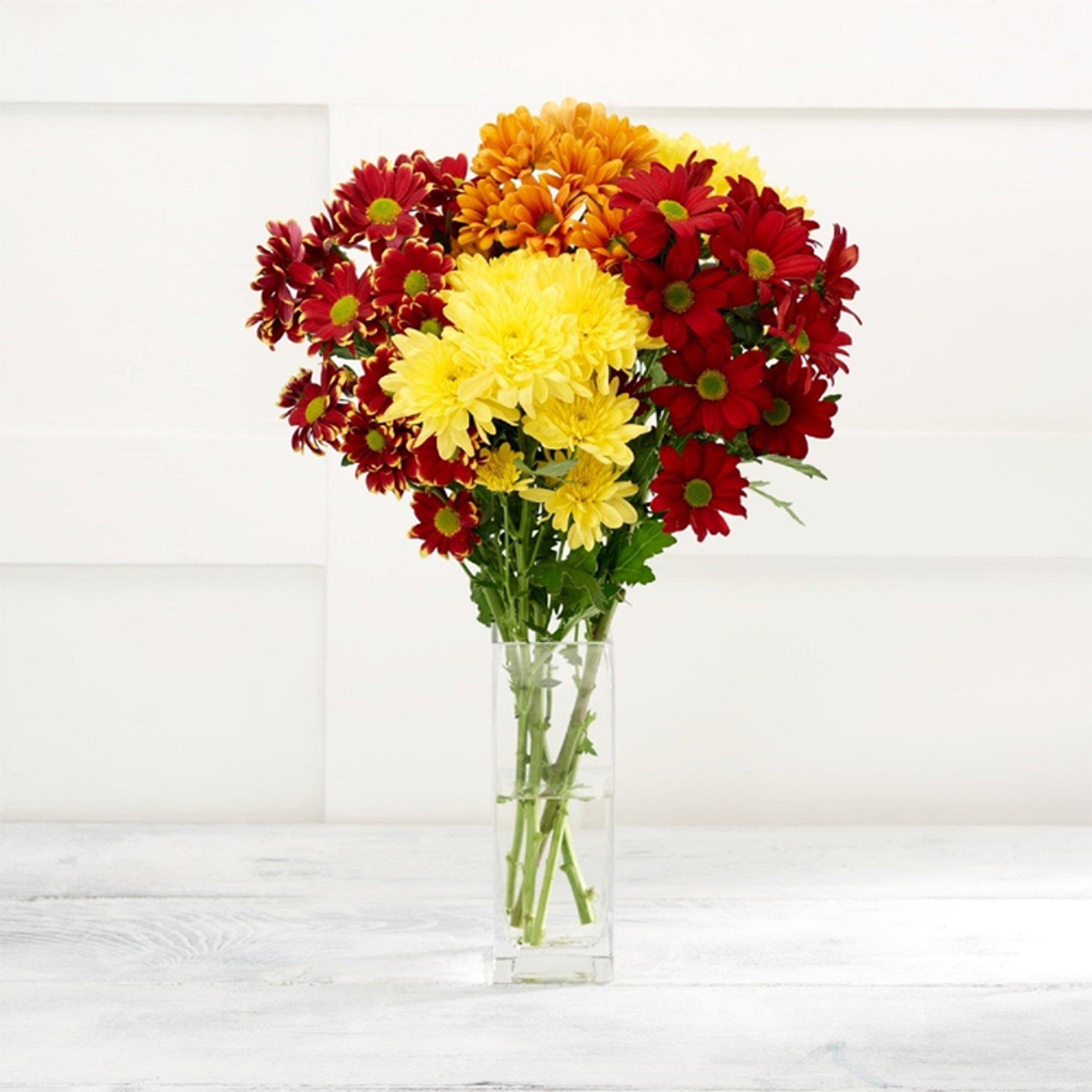 Sainsbury's Yellow Chrysanthemums