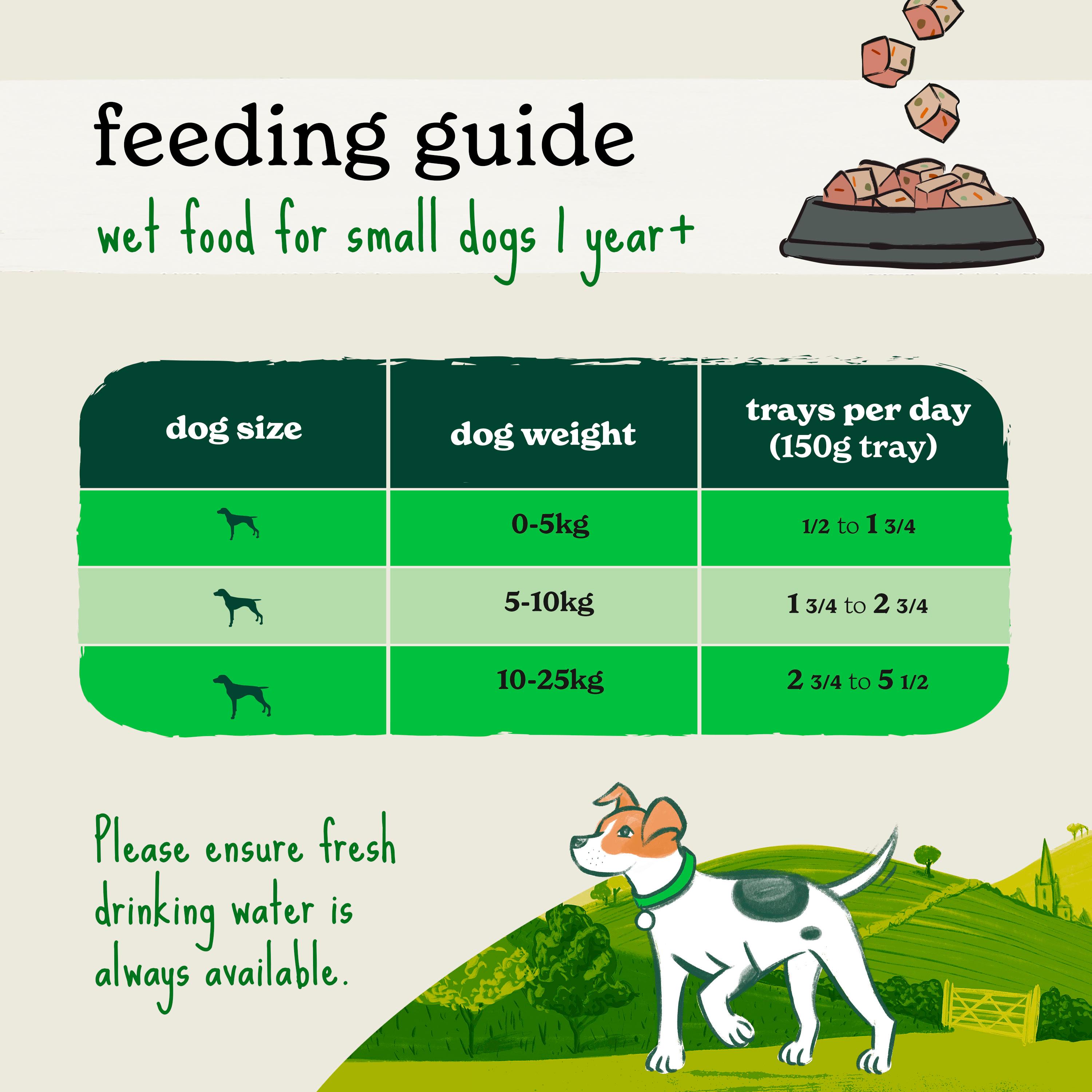Forthglade Duck & Turkey Complete Meal for Small Dog Food Adult 1 Year+ x8 150g thumbnail 5