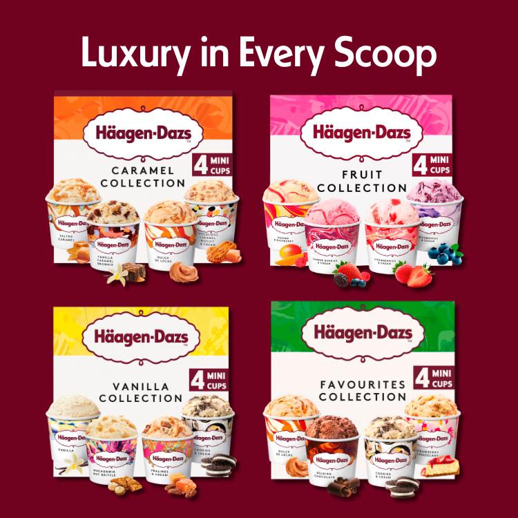Haagen-Dazs Fruit Collection Mini Frozen Dessert Ice Cream Tub 4x95ml thumbnail 3