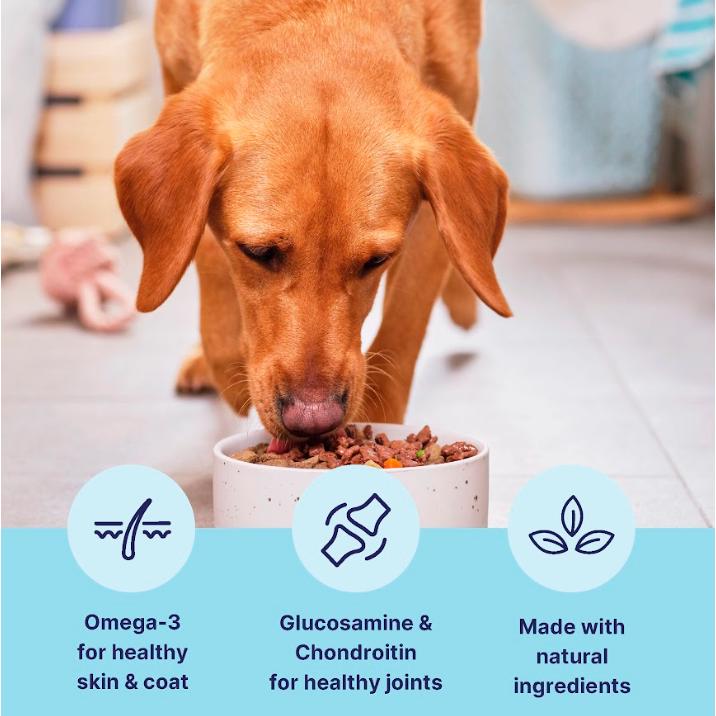 tails.com Inner Vitality Advanced Nutrition Wet Dog Food 7 Years+ 400g thumbnail 2