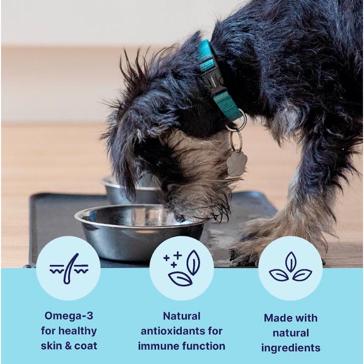 tails.com Inner Vitality Advanced Nutrition Wet Dog Food 1-7 Years 400g thumbnail 2
