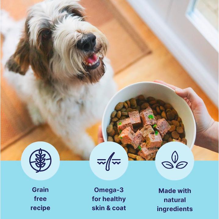 tails.com Inner Vitality Advanced Nutrition Sensitive Grain Free Recipe Adult Wet Dog Food 1-7 Years 400g thumbnail 2