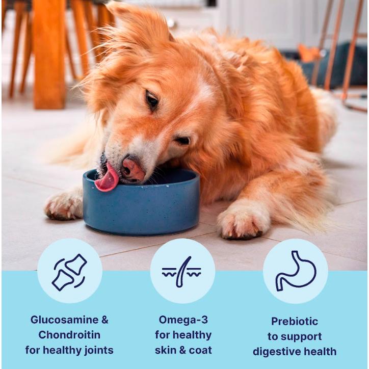 tails.com Inner Vitality Advanced Nutrition Dry Dog Food Medium & Large Chicken 2kg thumbnail 2