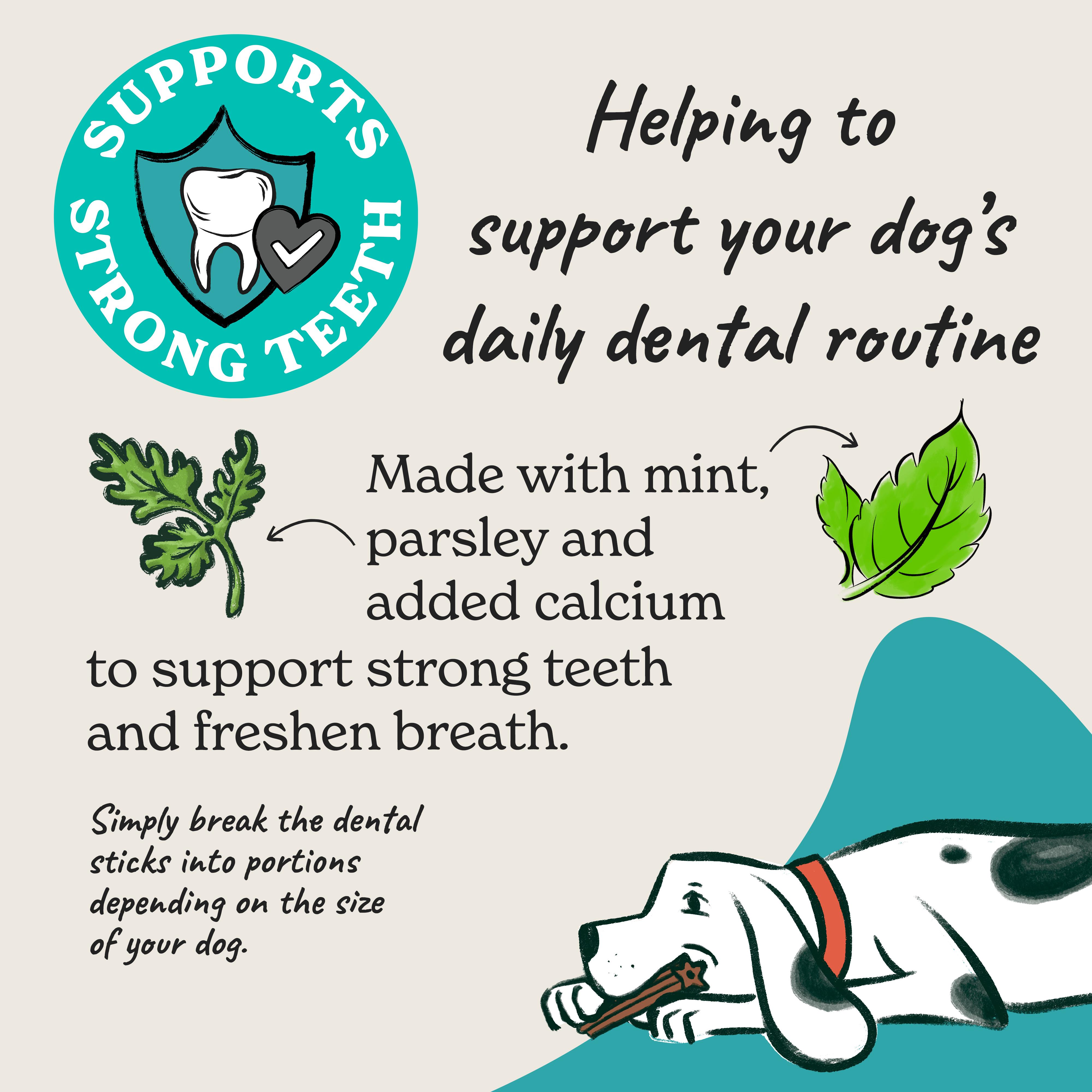Forthglade Natural Grain Free Dental Sticks x5 170g thumbnail 2
