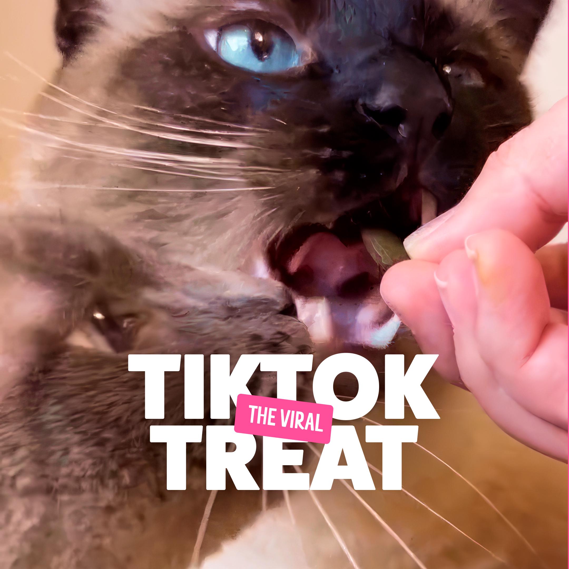 Bonkers Salmon Supreme Flavour Cat Treats 180g thumbnail 4