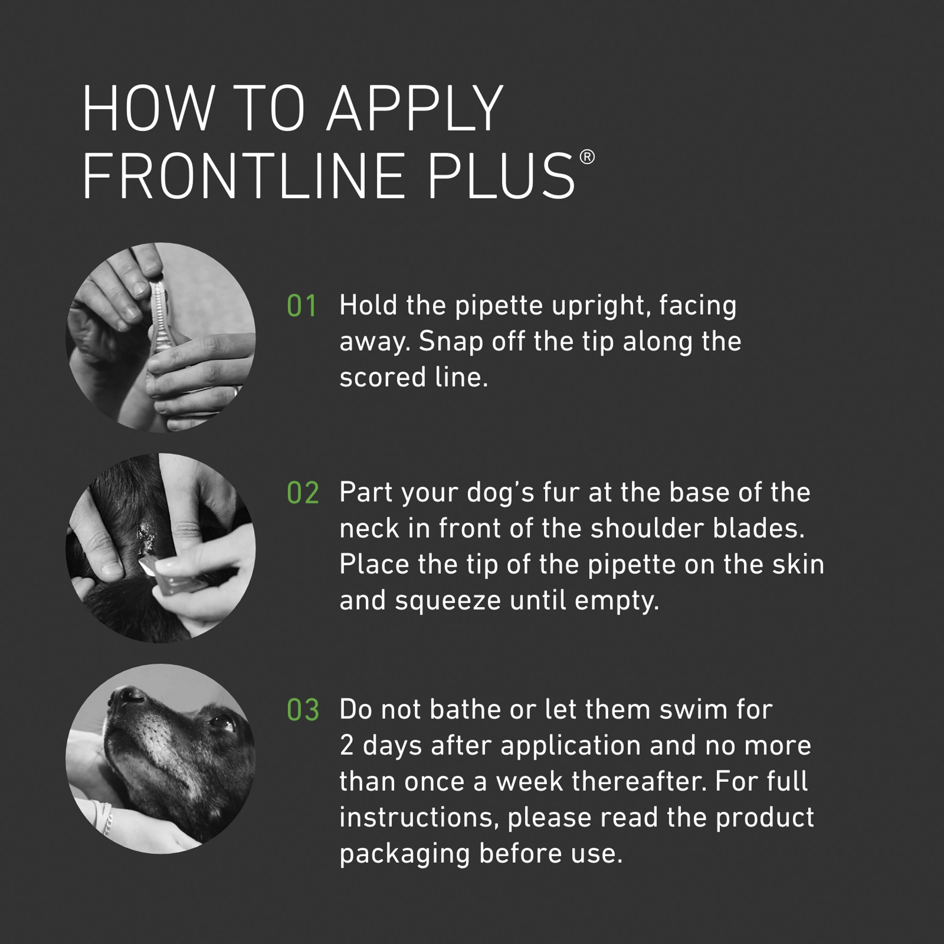 Frontline Plus Flea & Tick Treatment Small Dog 2 up to 10kg x1 thumbnail 3