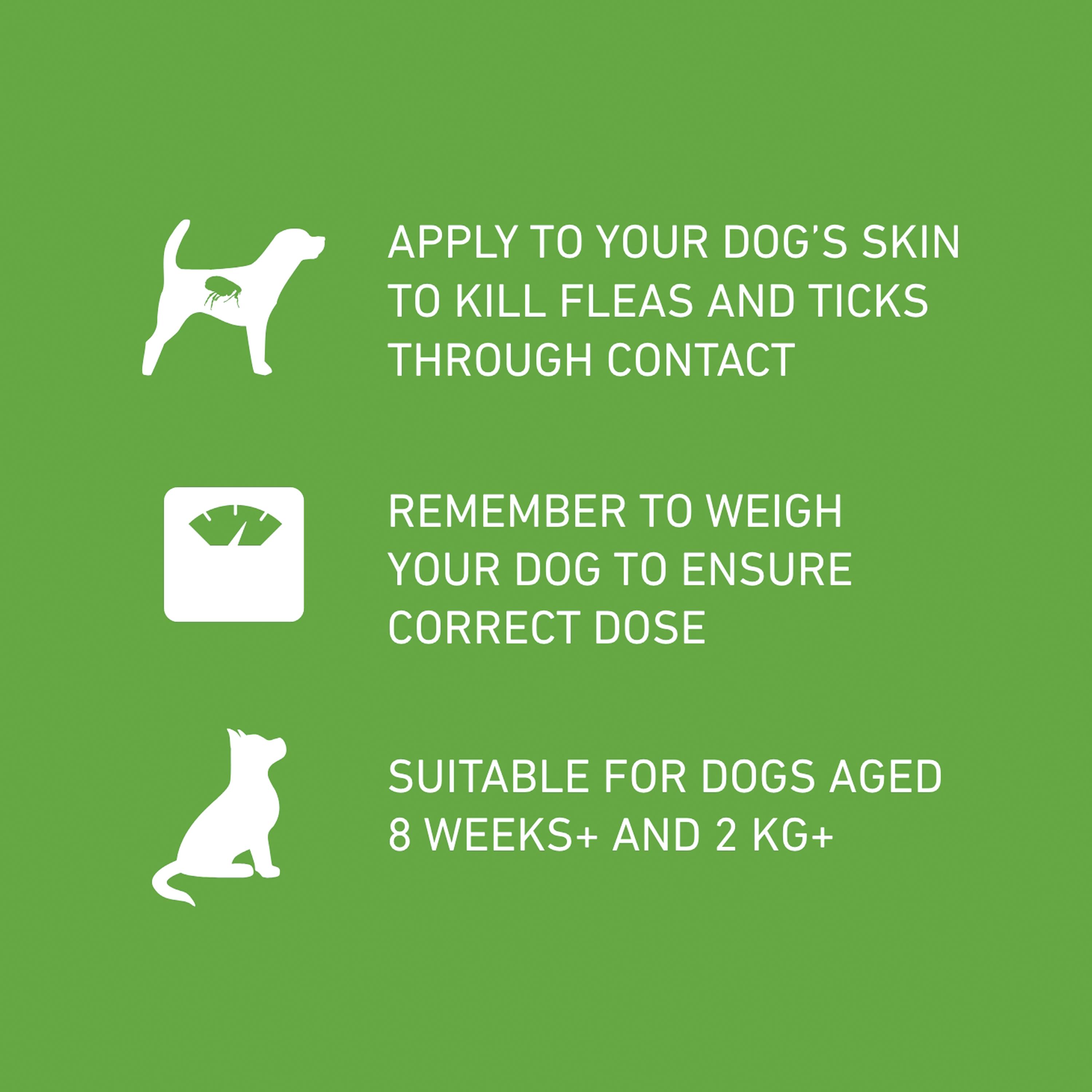 Frontline Plus Spot On Dog M 10 up to 20kg thumbnail 4