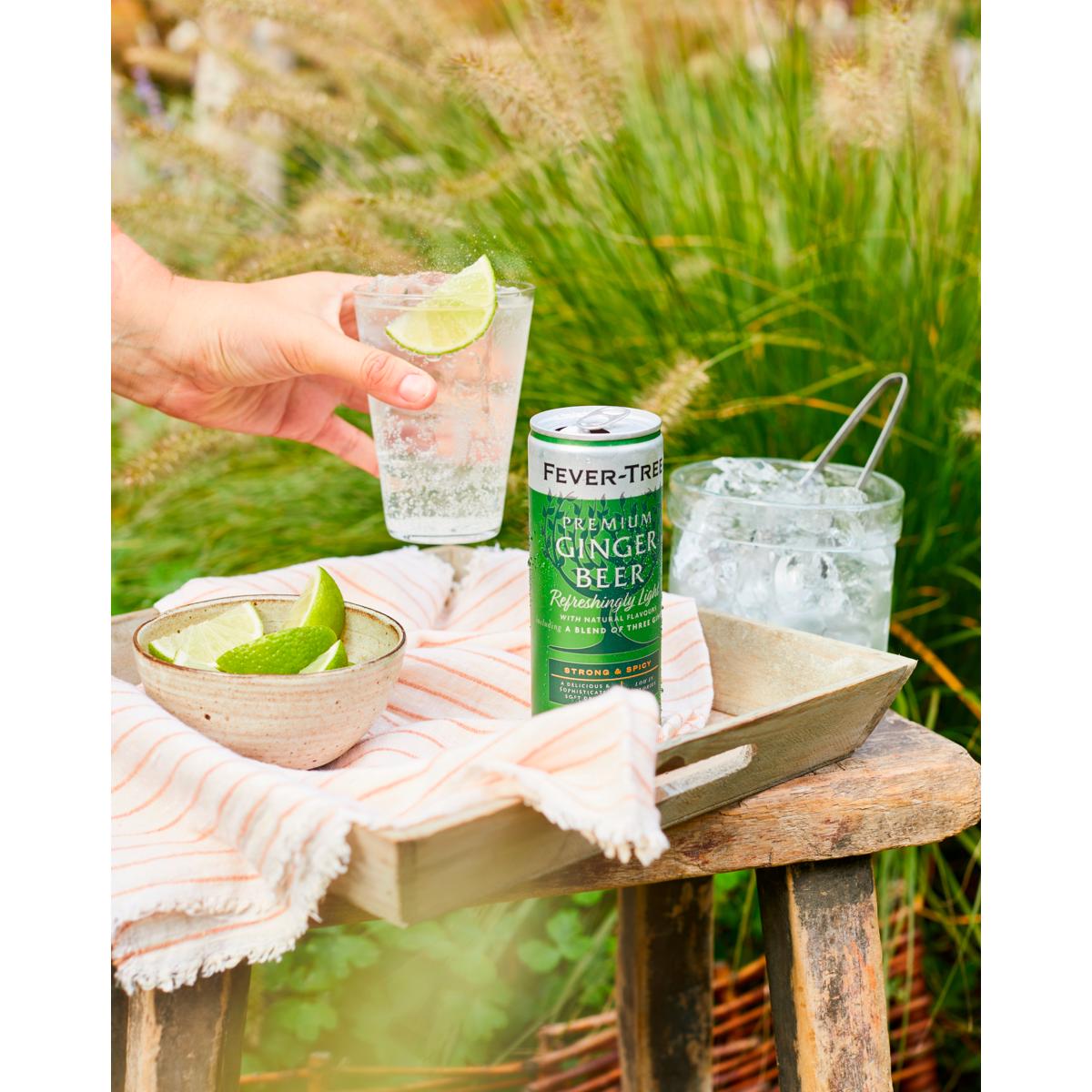 Fever-Tree Premium Ginger Beer 4x250ml thumbnail 3