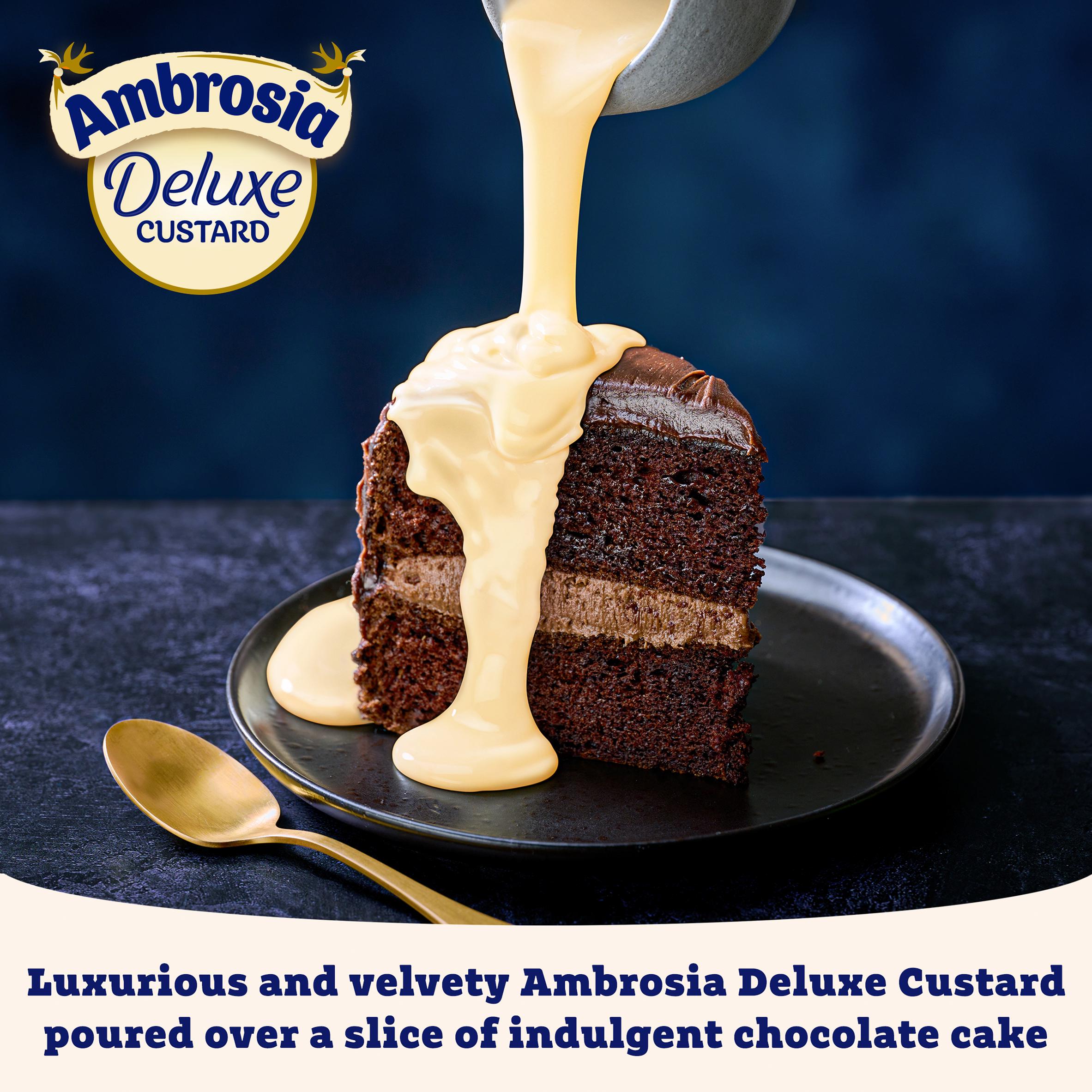Ambrosia Deluxe 750g Custard Dessert Carton thumbnail 3
