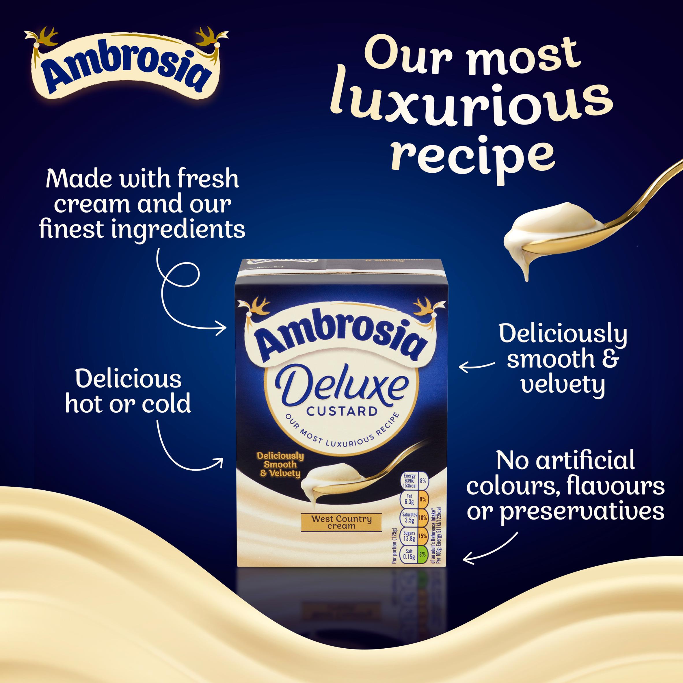 Ambrosia Deluxe 750g Custard Dessert Carton thumbnail 4