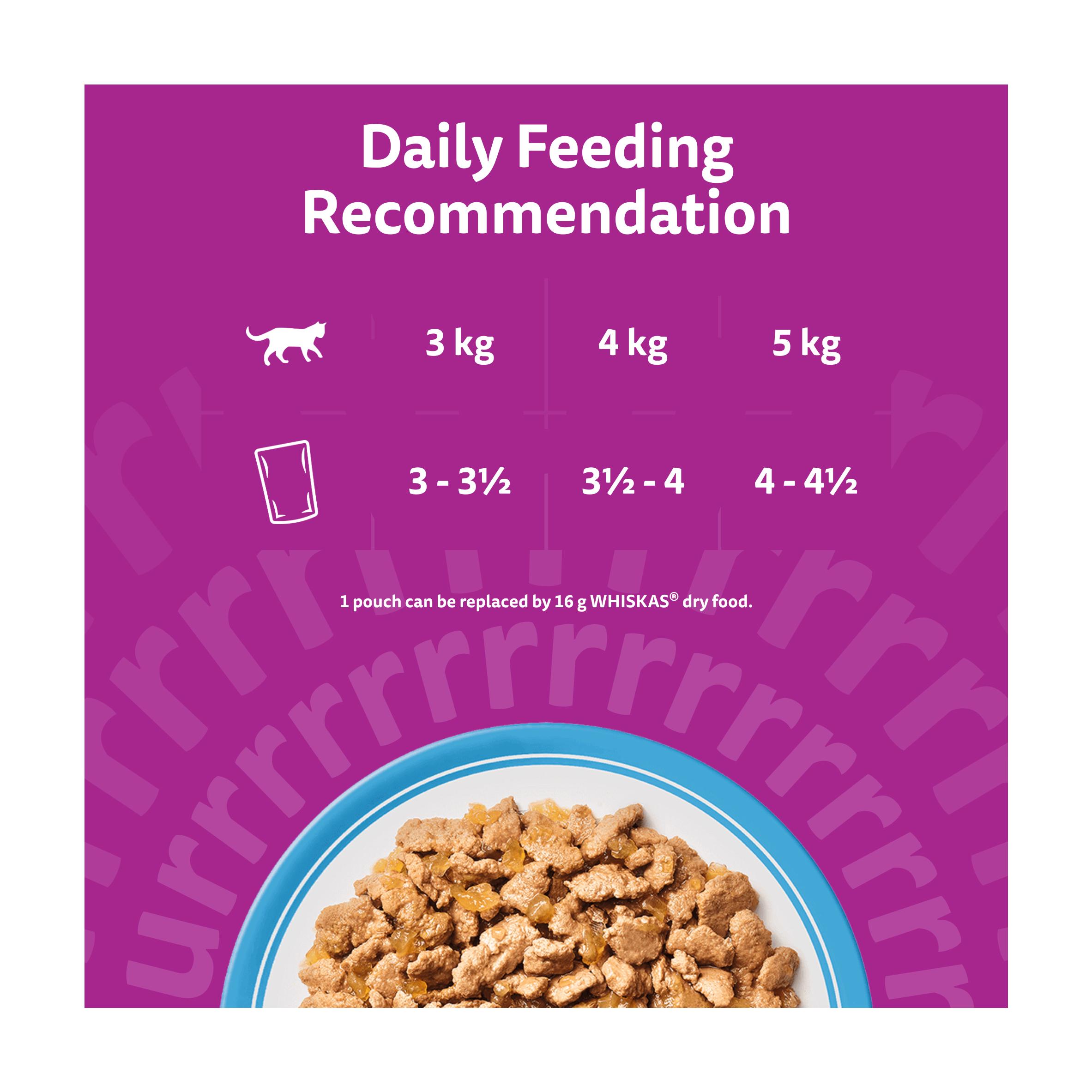 Whiskas 1+ Fish Favourites in Jelly Adult Wet Cat Food Pouches 12 x 85g thumbnail 4