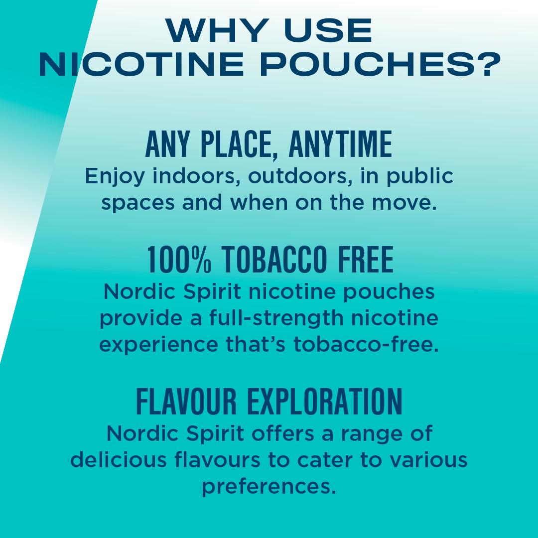 Nordic 6mg Spirit Regular Spearmint Nicotine Pouches thumbnail 4