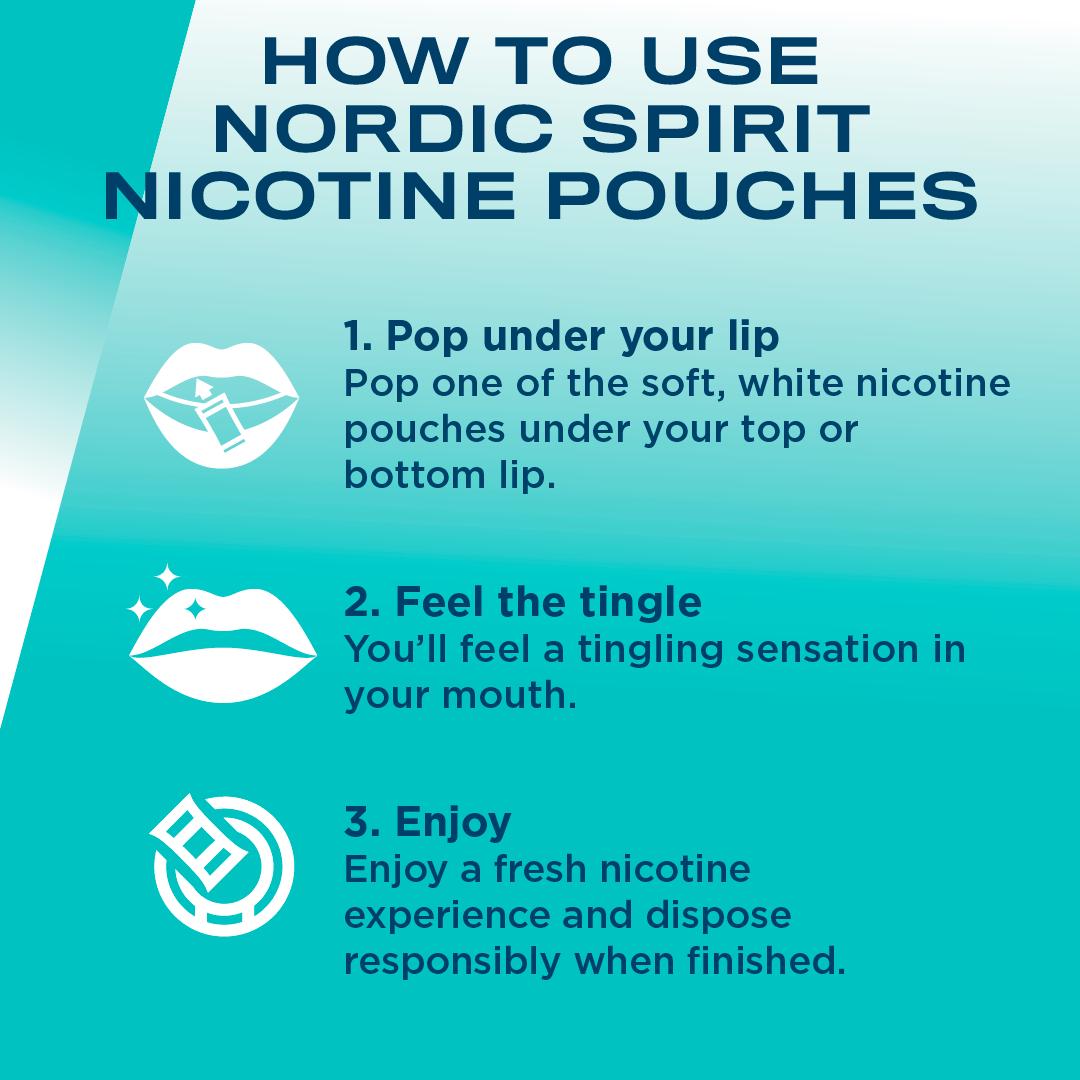 Nordic 6mg Spirit Regular Spearmint Nicotine Pouches thumbnail 5