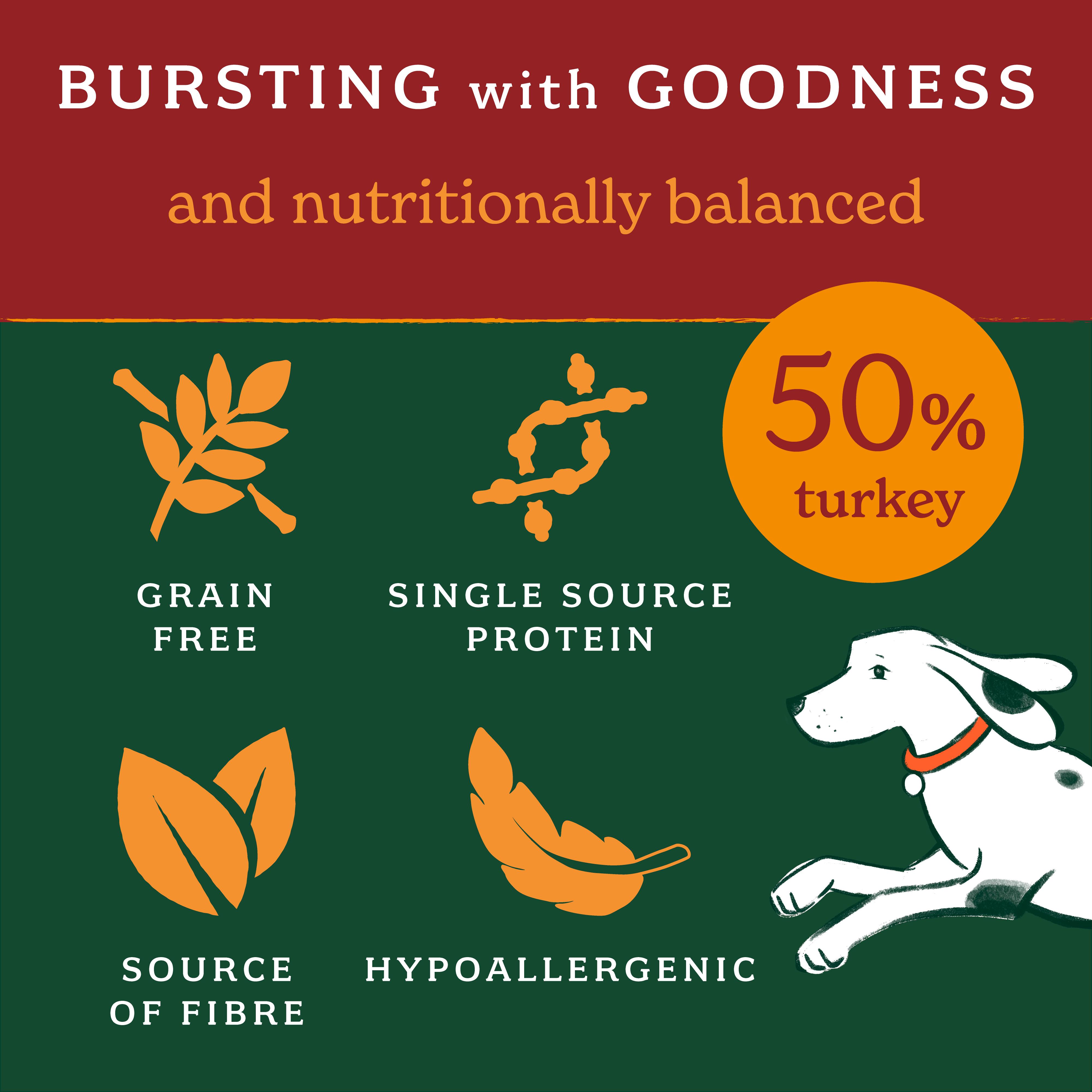Forthglade Lightly Baked Natural Dry Dog Food Turkey Adult Dogs One Year+ 2kg thumbnail 2