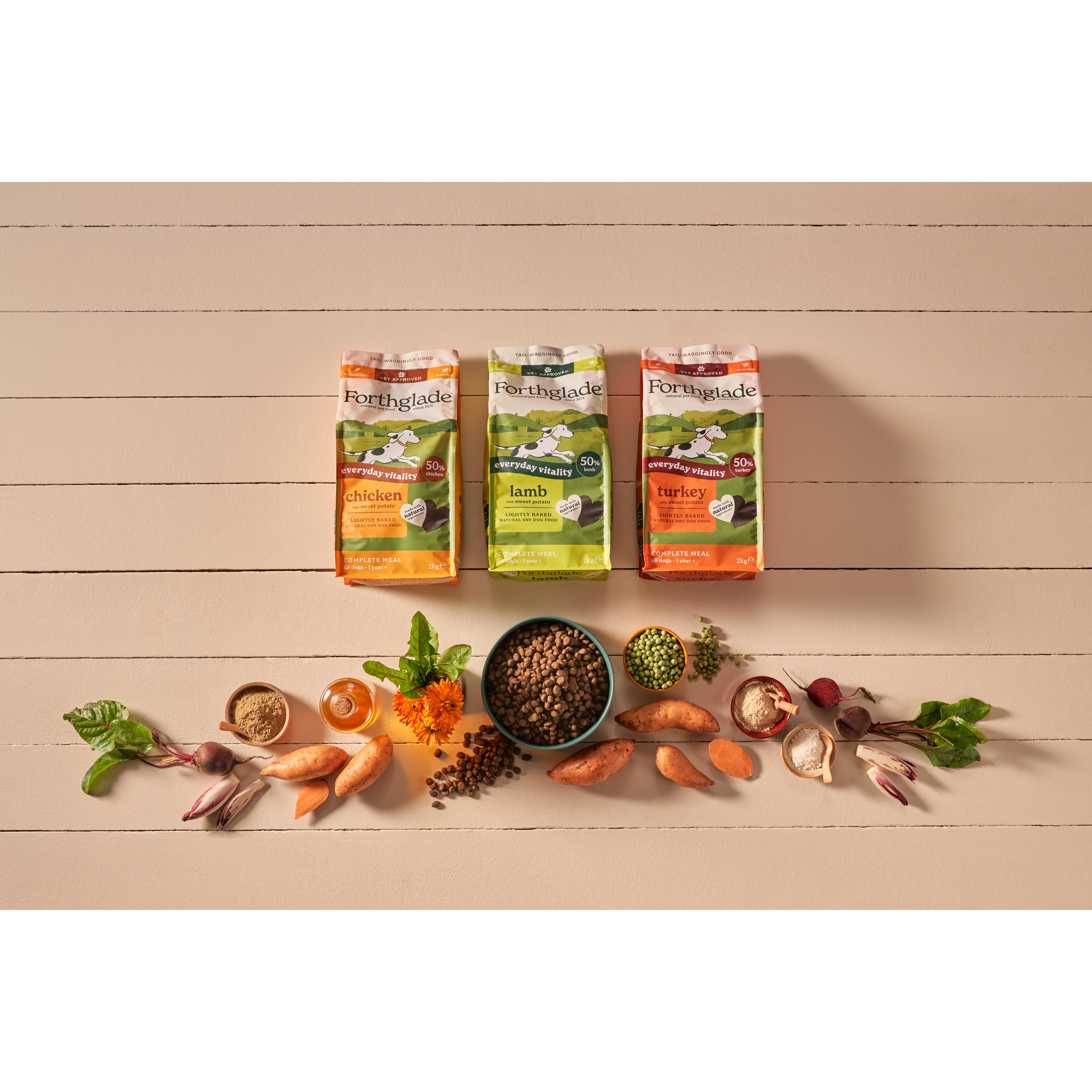Forthglade Lightly Baked Natural Dry Dog Food Turkey Adult Dogs One Year+ 2kg thumbnail 3