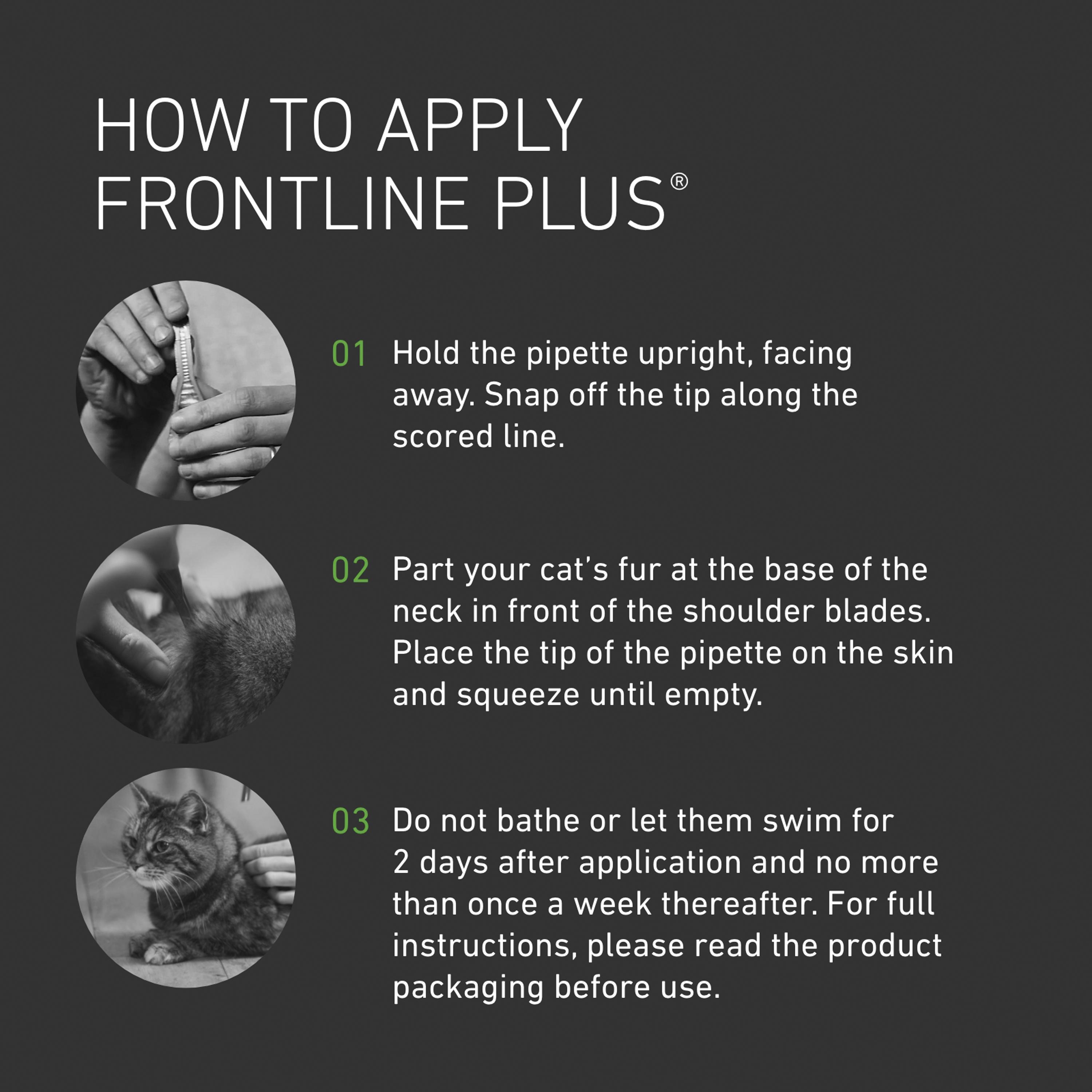 Frontline Plus Flea & Tick Treatment Cat x3 thumbnail 3
