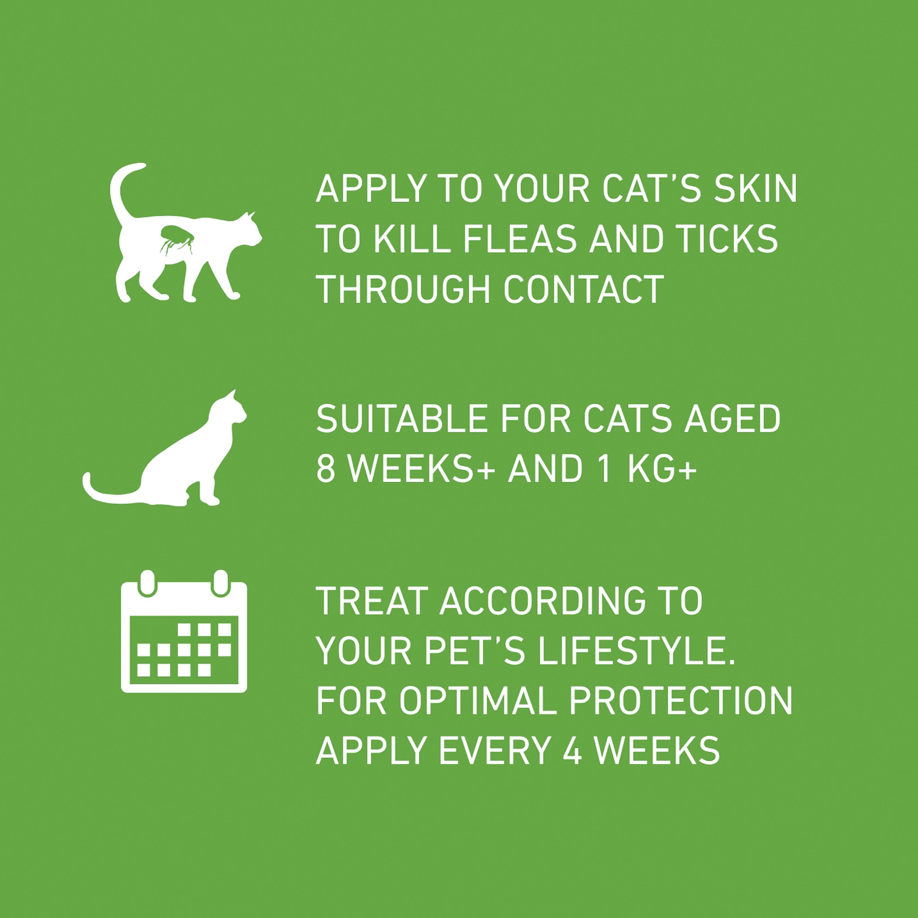 Frontline Plus Flea & Tick Treatment Cat x3 thumbnail 5