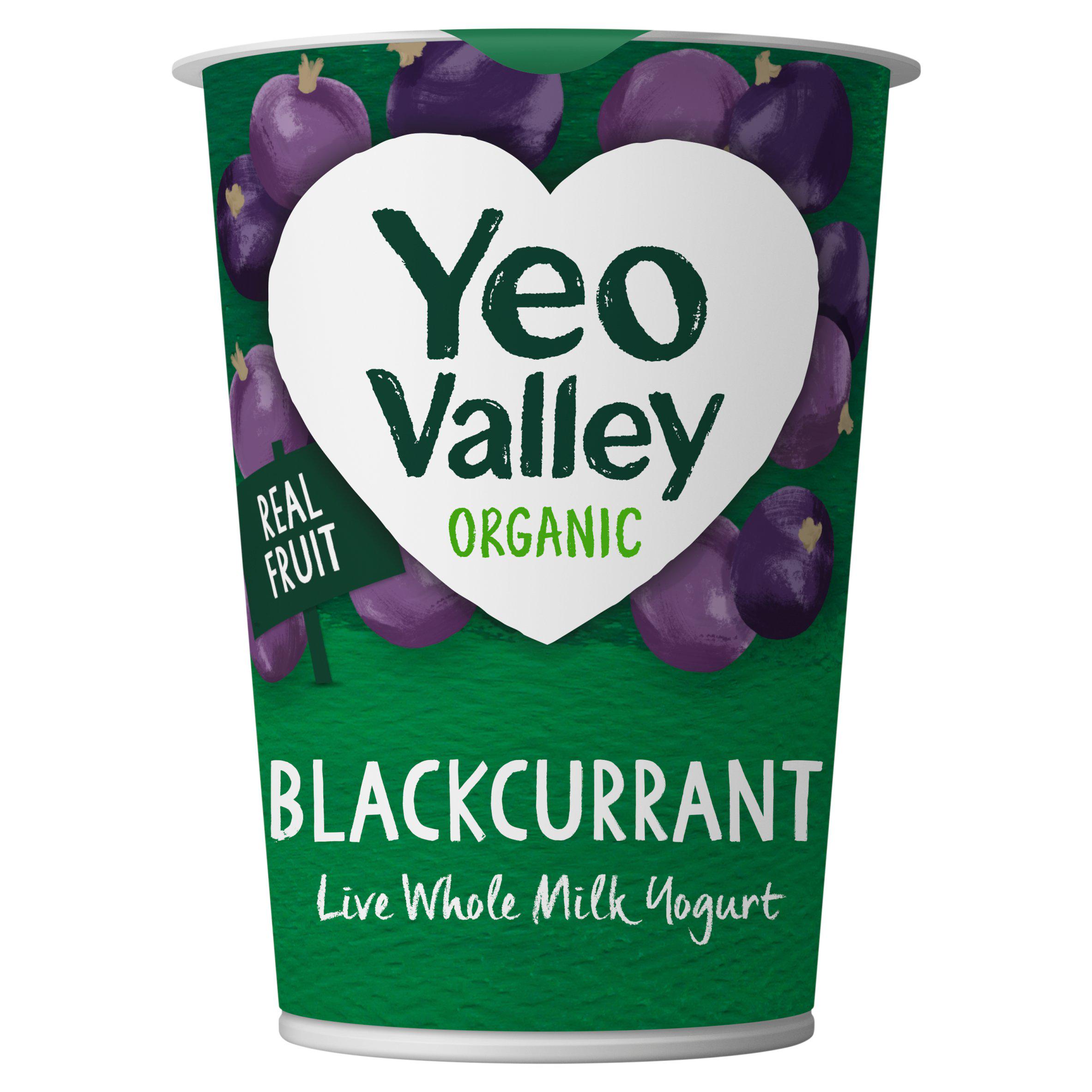 Yeo Valley Organic British Blackcurrant Live Fruity & Creamy Yogurt 450g