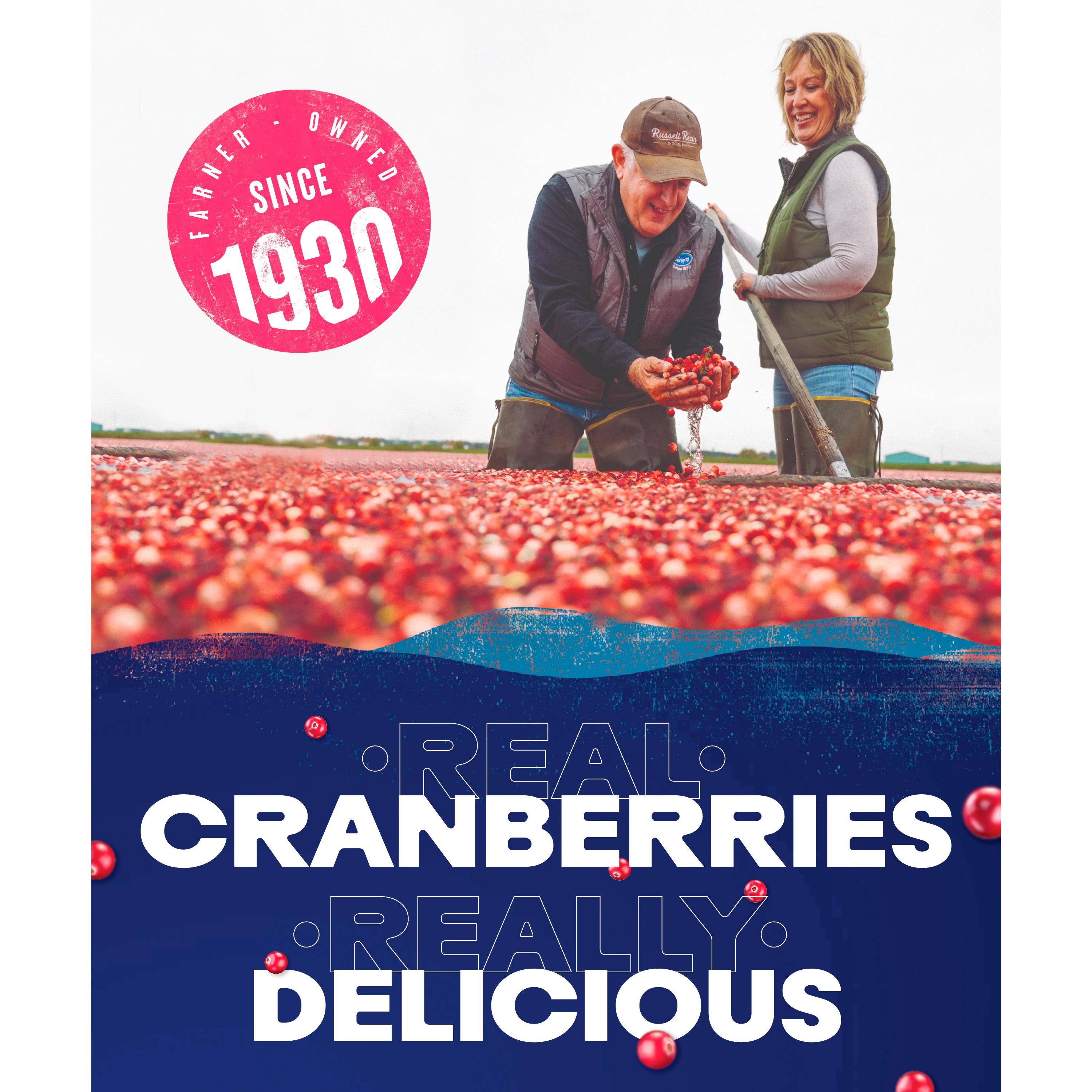 Ocean Spray Pink Cranberry 1 Litre thumbnail 6