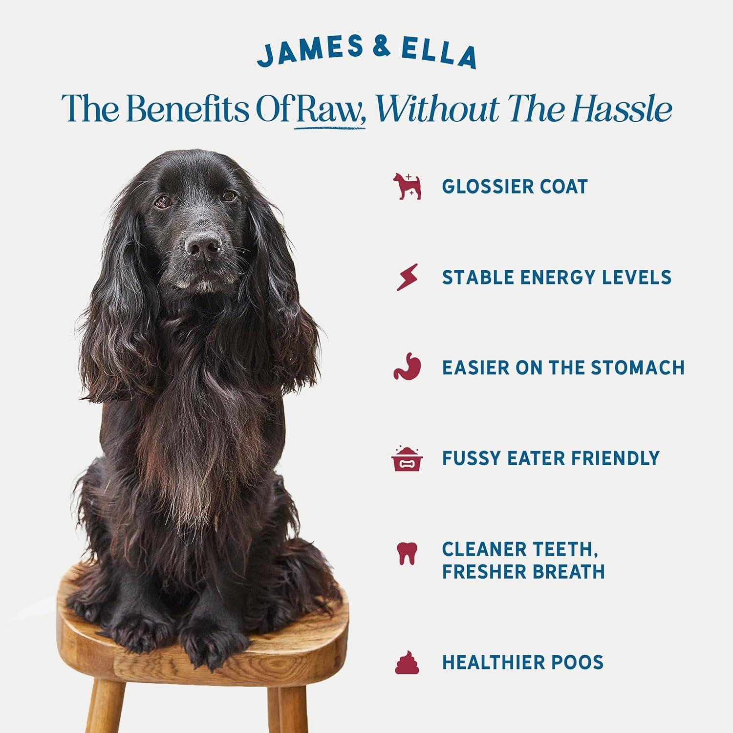 James & Ella Kibble + Raw Grass Fed Beef Dog Food 1.5kg thumbnail 2