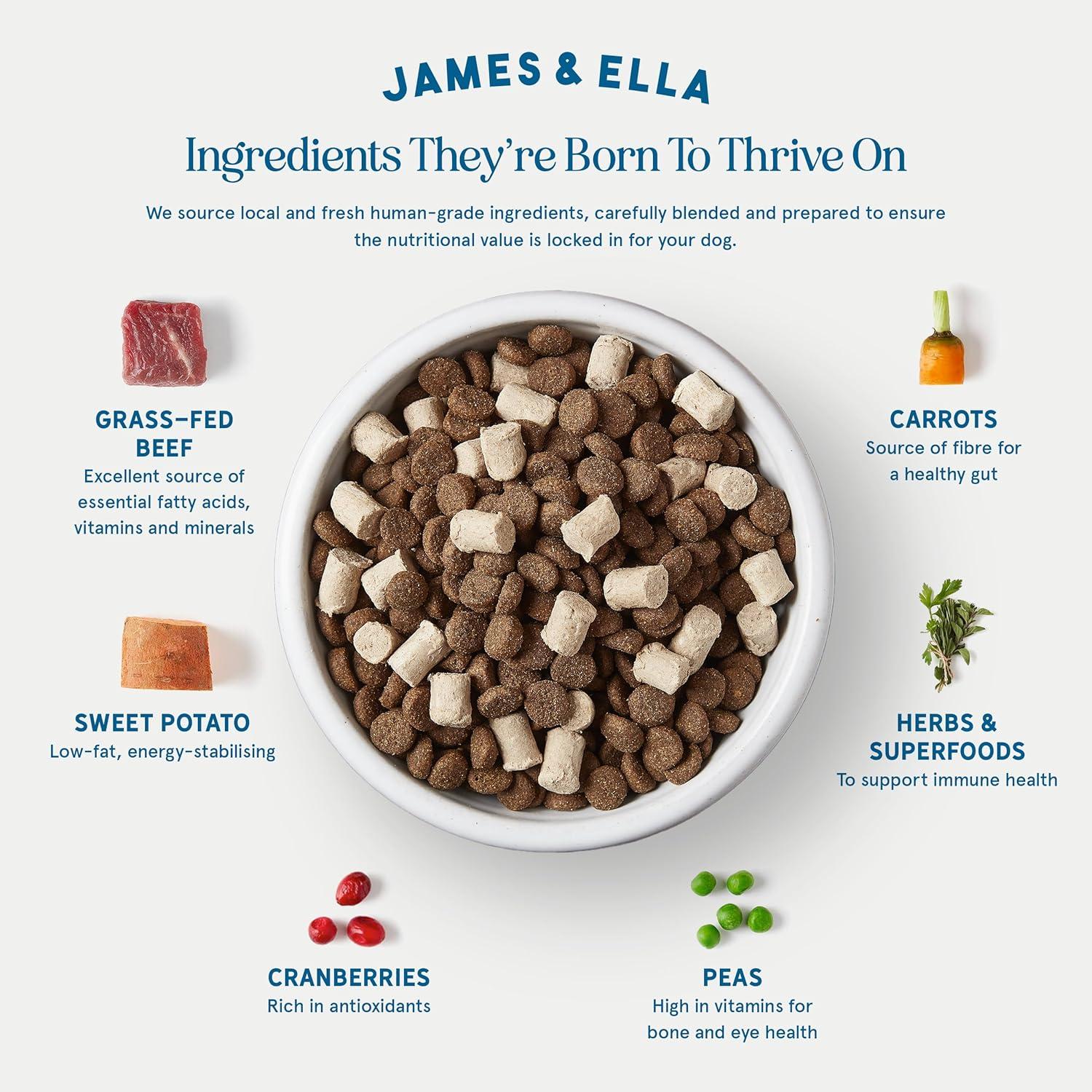 James & Ella Kibble + Raw Grass Fed Beef Dog Food 1.5kg thumbnail 3