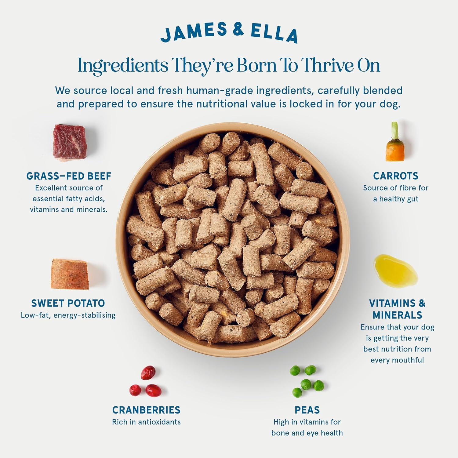 James & Ella Freeze Dried Raw Grass Fed Beef Dog Food 100g thumbnail 3