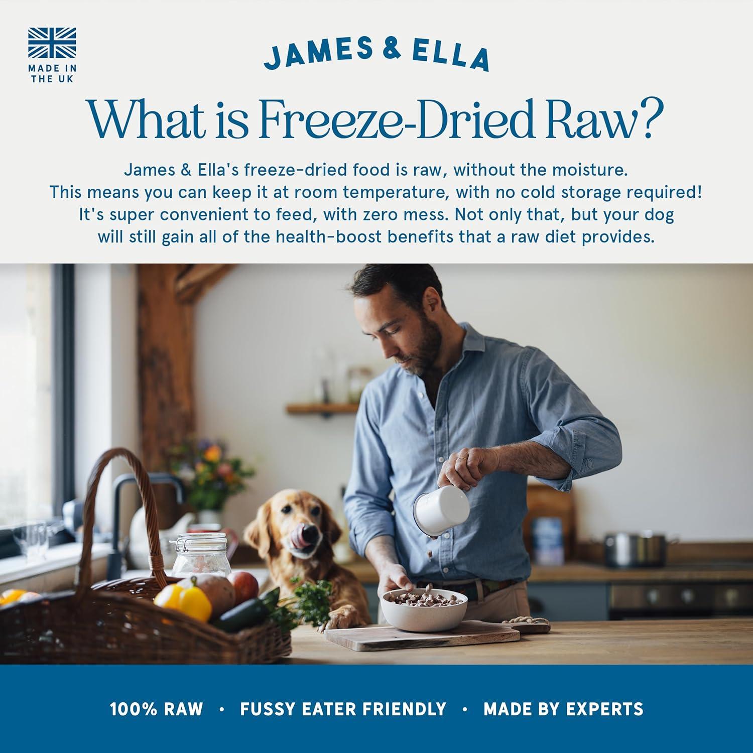 James & Ella Freeze Dried Raw Grass Fed Beef Dog Food 100g thumbnail 4