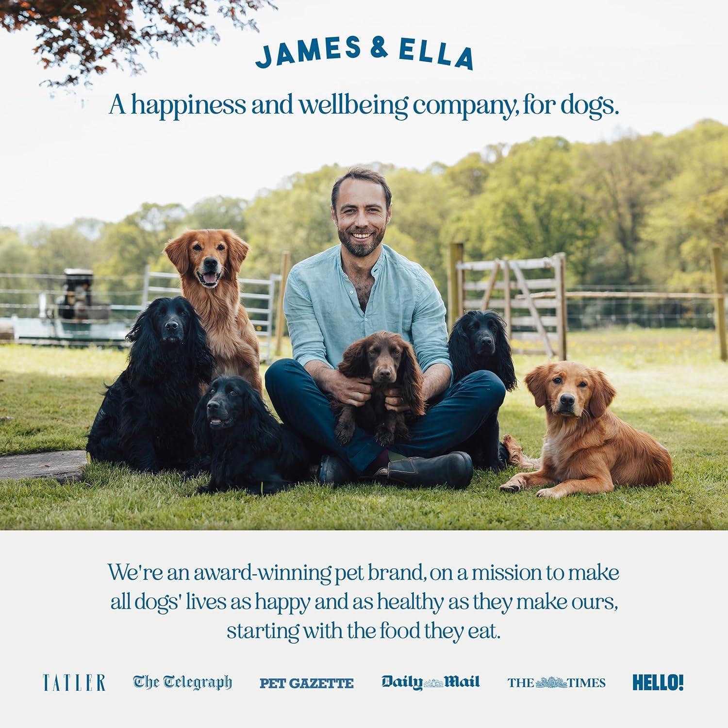 James & Ella Freeze Dried Raw Grass Fed Beef Dog Food 100g thumbnail 6