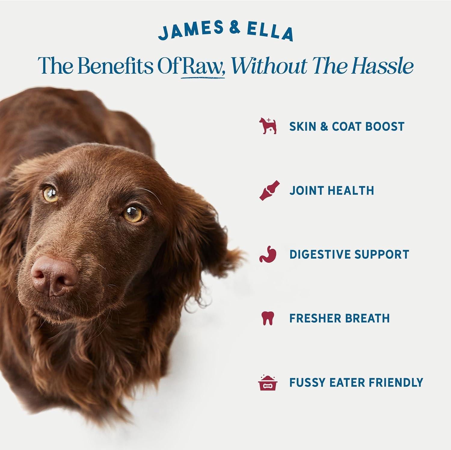 James & Ella Freeze Dried Raw Grass Fed Beef Topper for Dogs 50g thumbnail 2