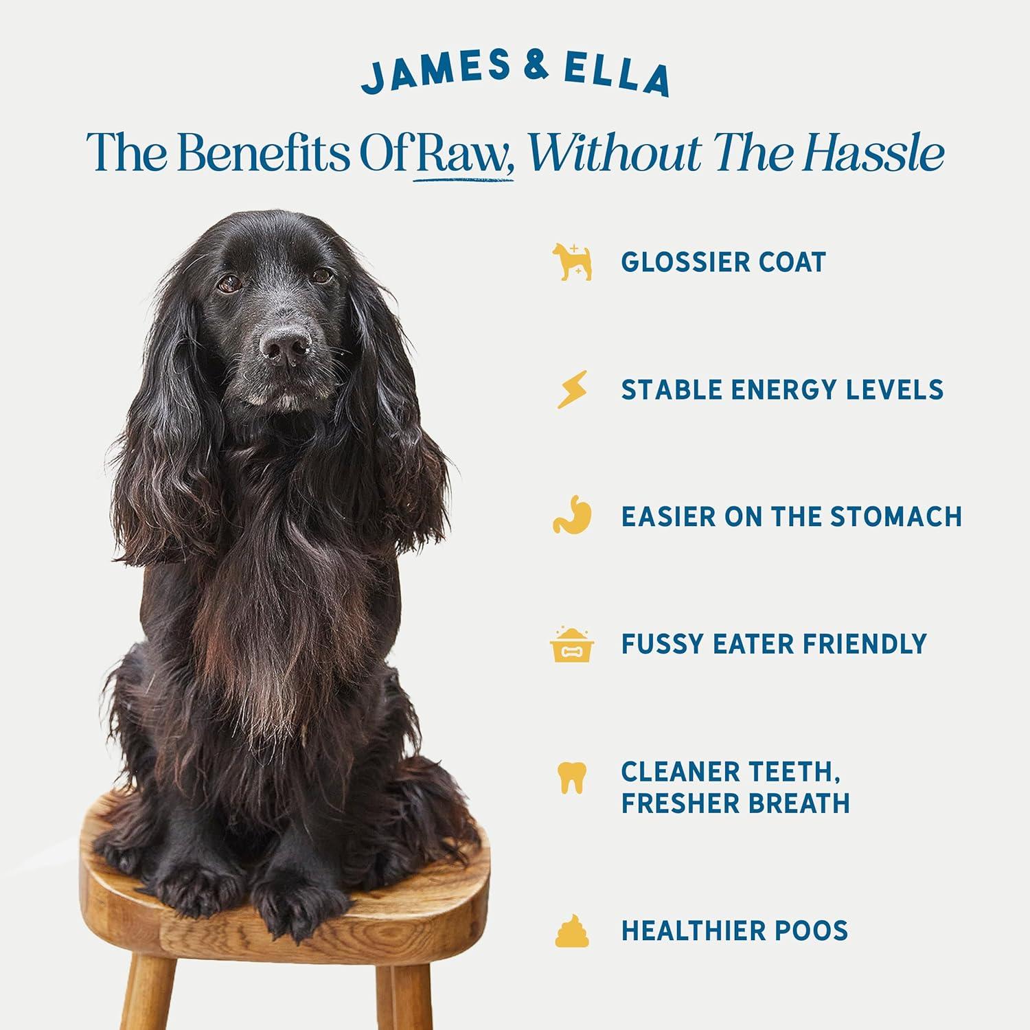 James & Ella Kibble + Raw Free Run Chicken Dog Food 1.5kg thumbnail 2