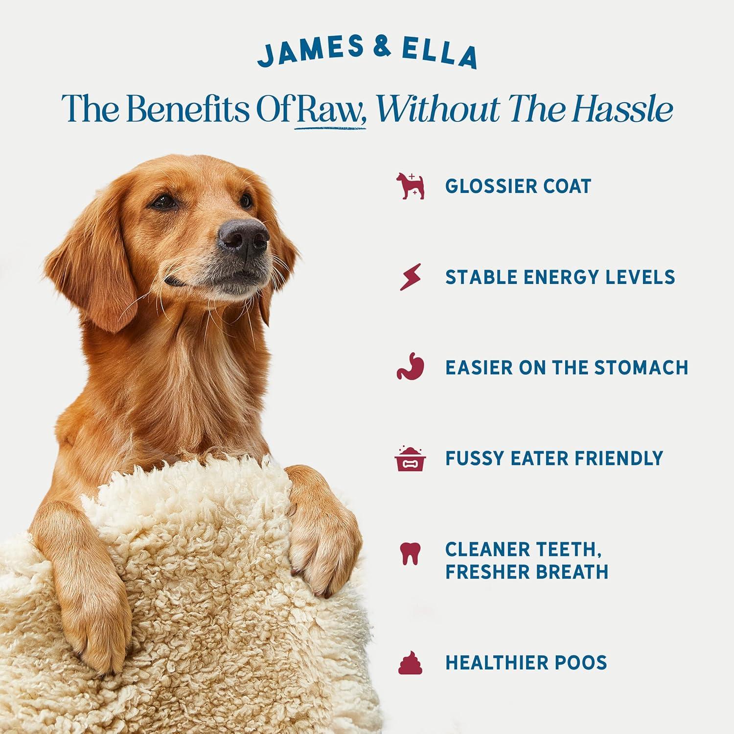 James & Ella Freeze Dried Grass Fed Beef Dog Treats 40g thumbnail 2