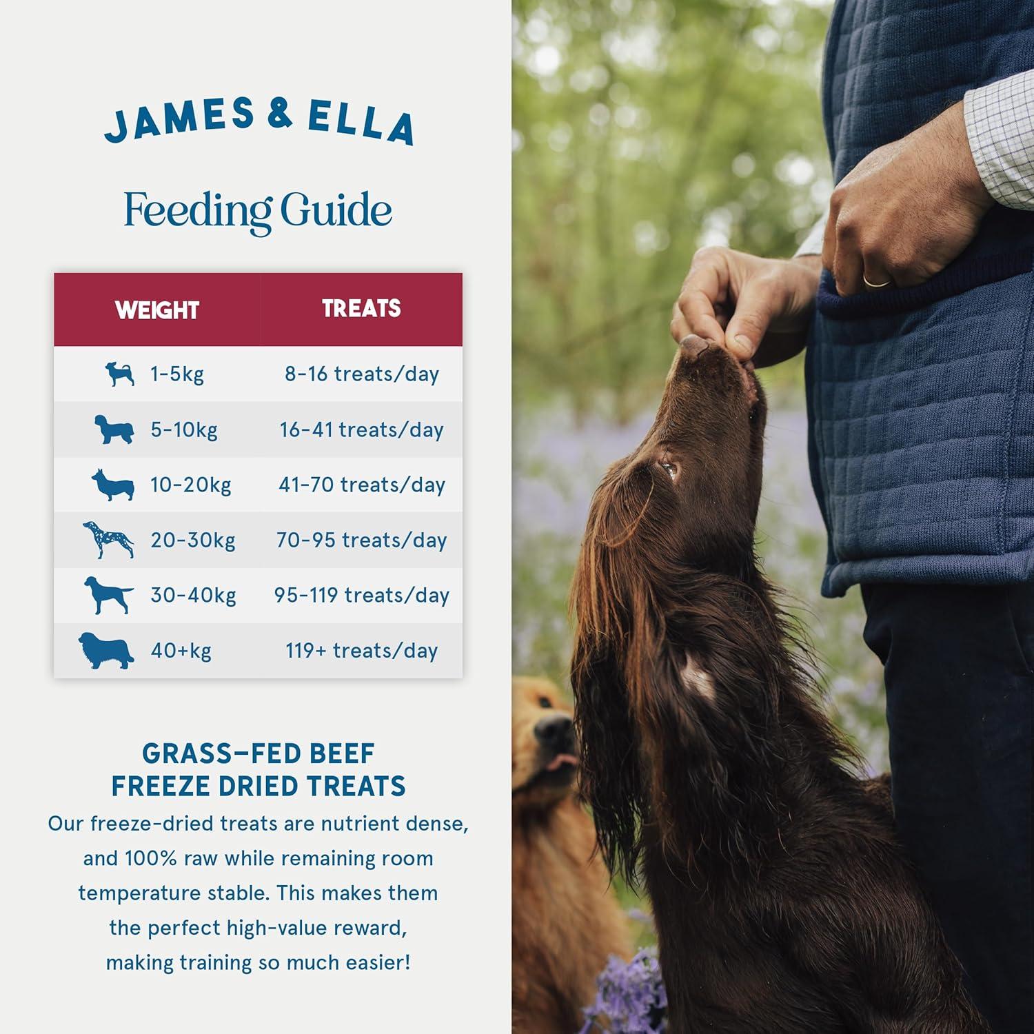 James & Ella Freeze Dried Grass Fed Beef Dog Treats 40g thumbnail 5