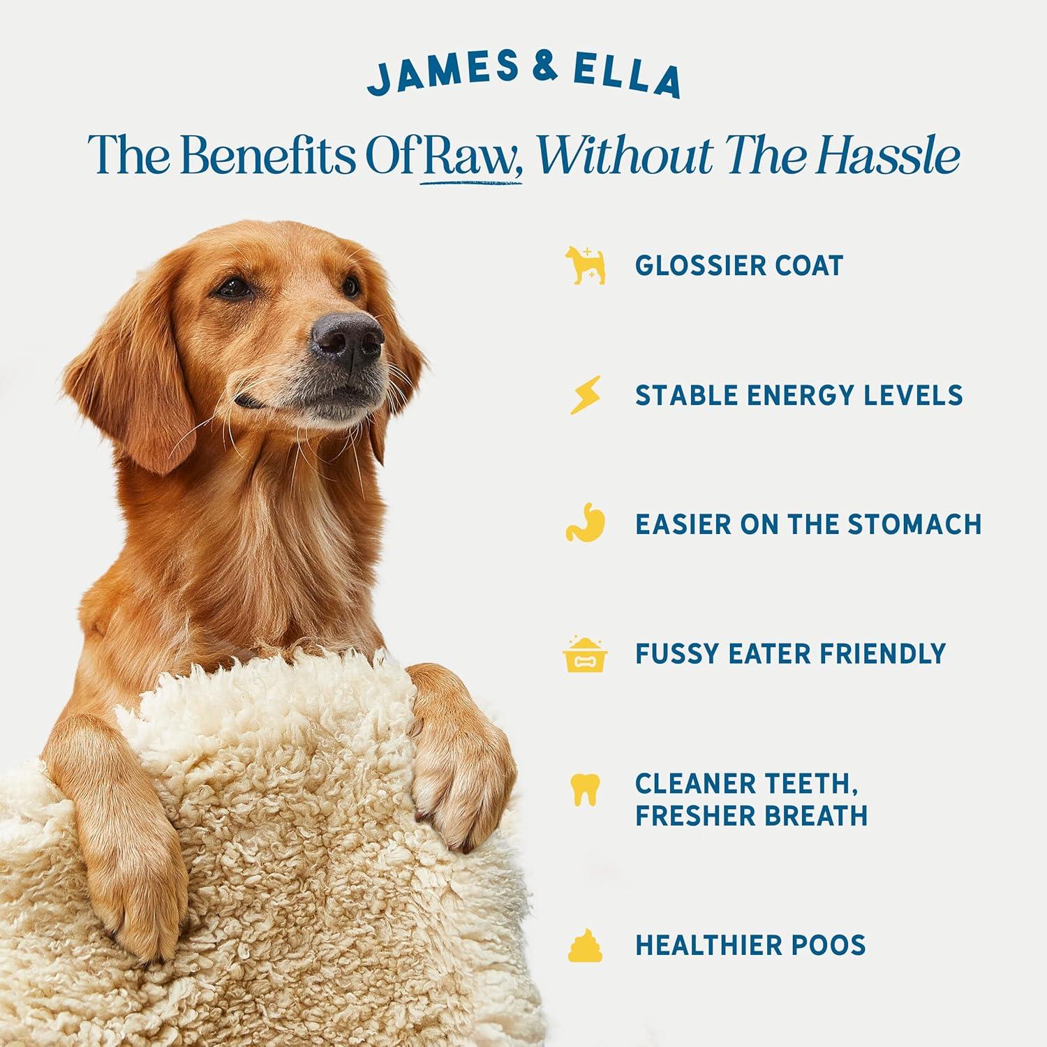 James & Ella Freeze Dried Free Run Chicken Dog Treats 40g thumbnail 2