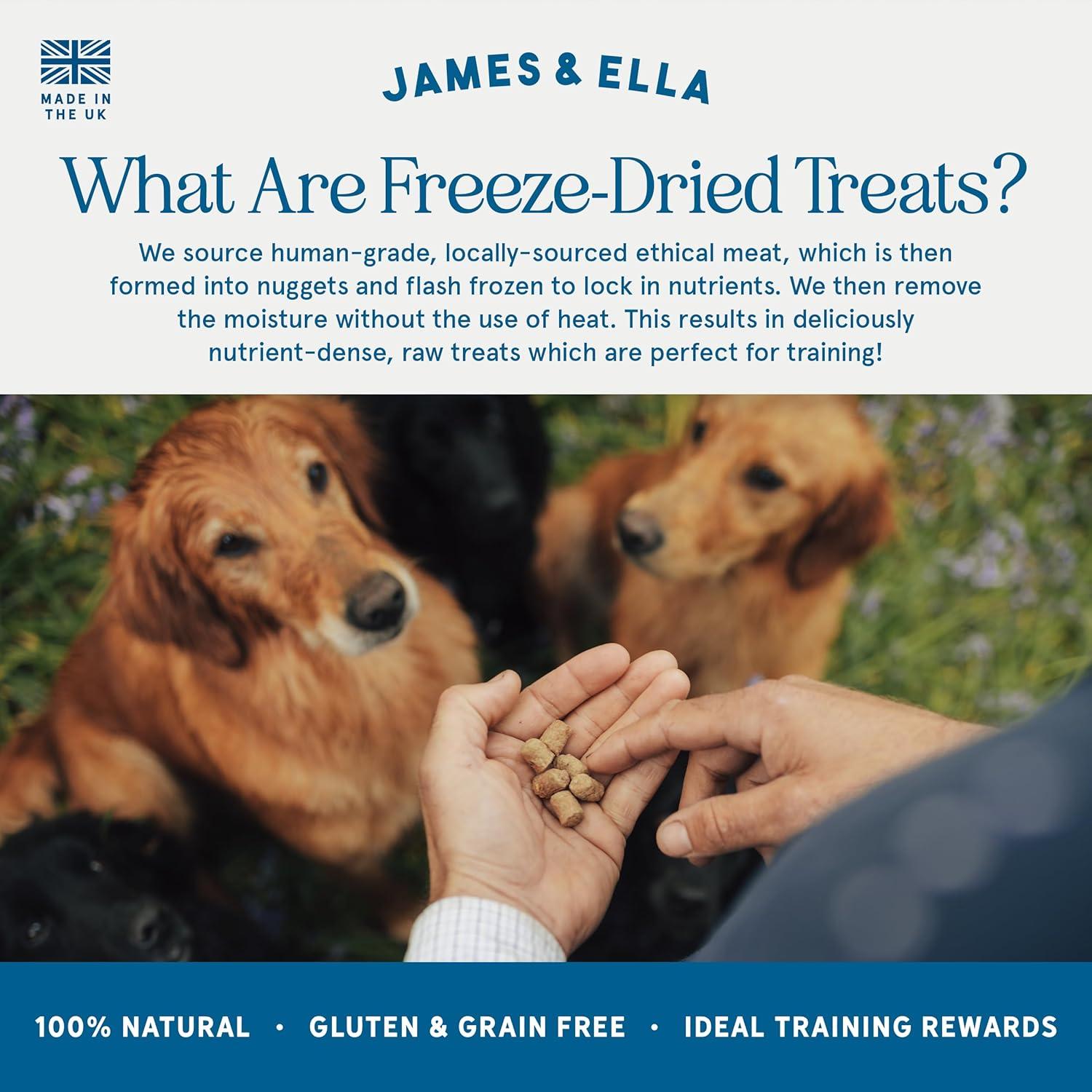James & Ella Freeze Dried Free Run Chicken Dog Treats 40g thumbnail 4