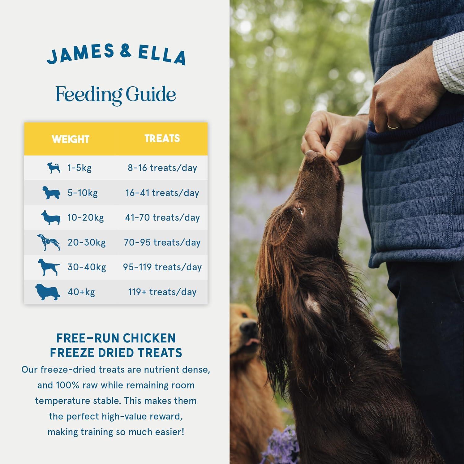 James & Ella Freeze Dried Free Run Chicken Dog Treats 40g thumbnail 5