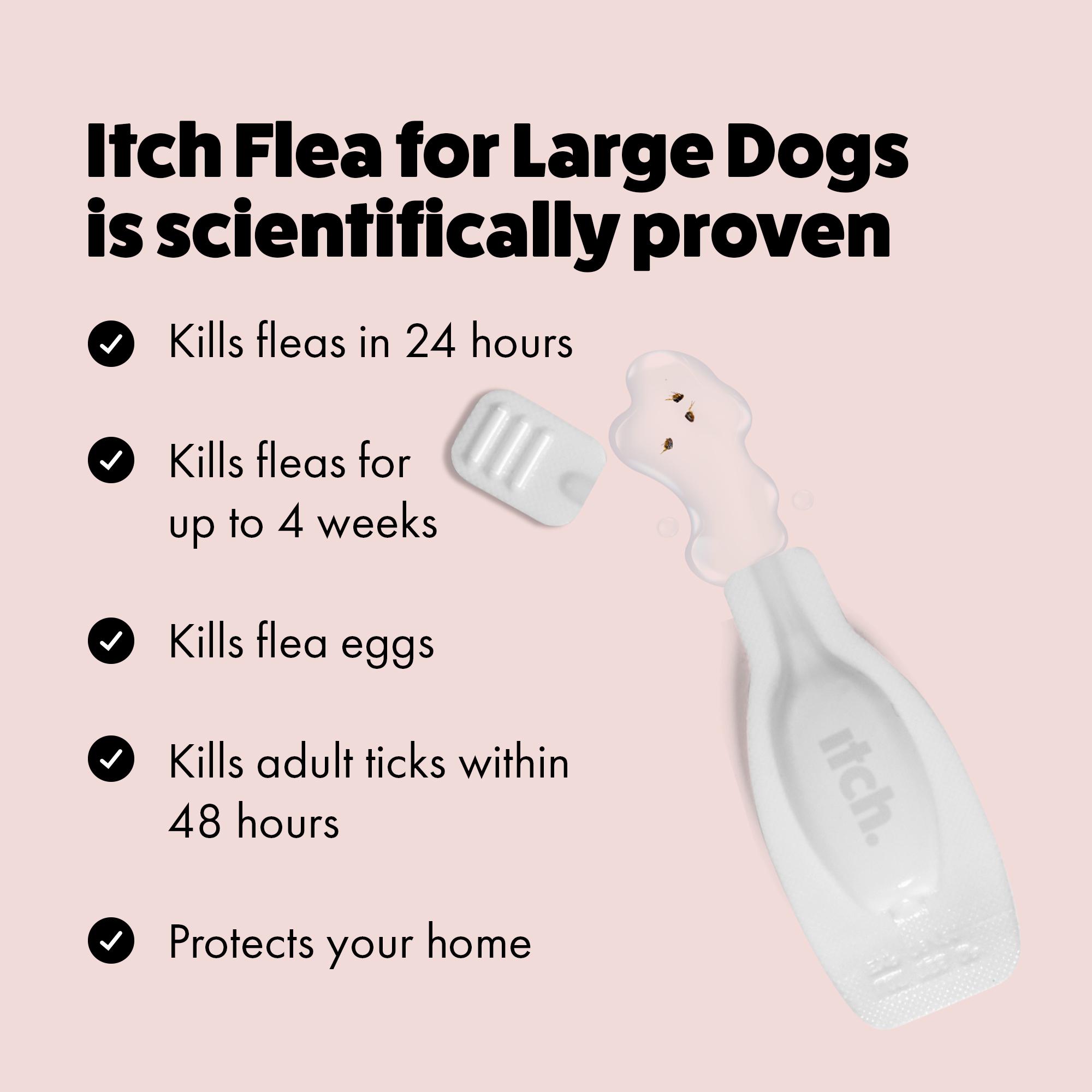 Itch Flea Large Dog Flea & Tick Spot On Treatment 1 Pipette (20-40kg) thumbnail 4