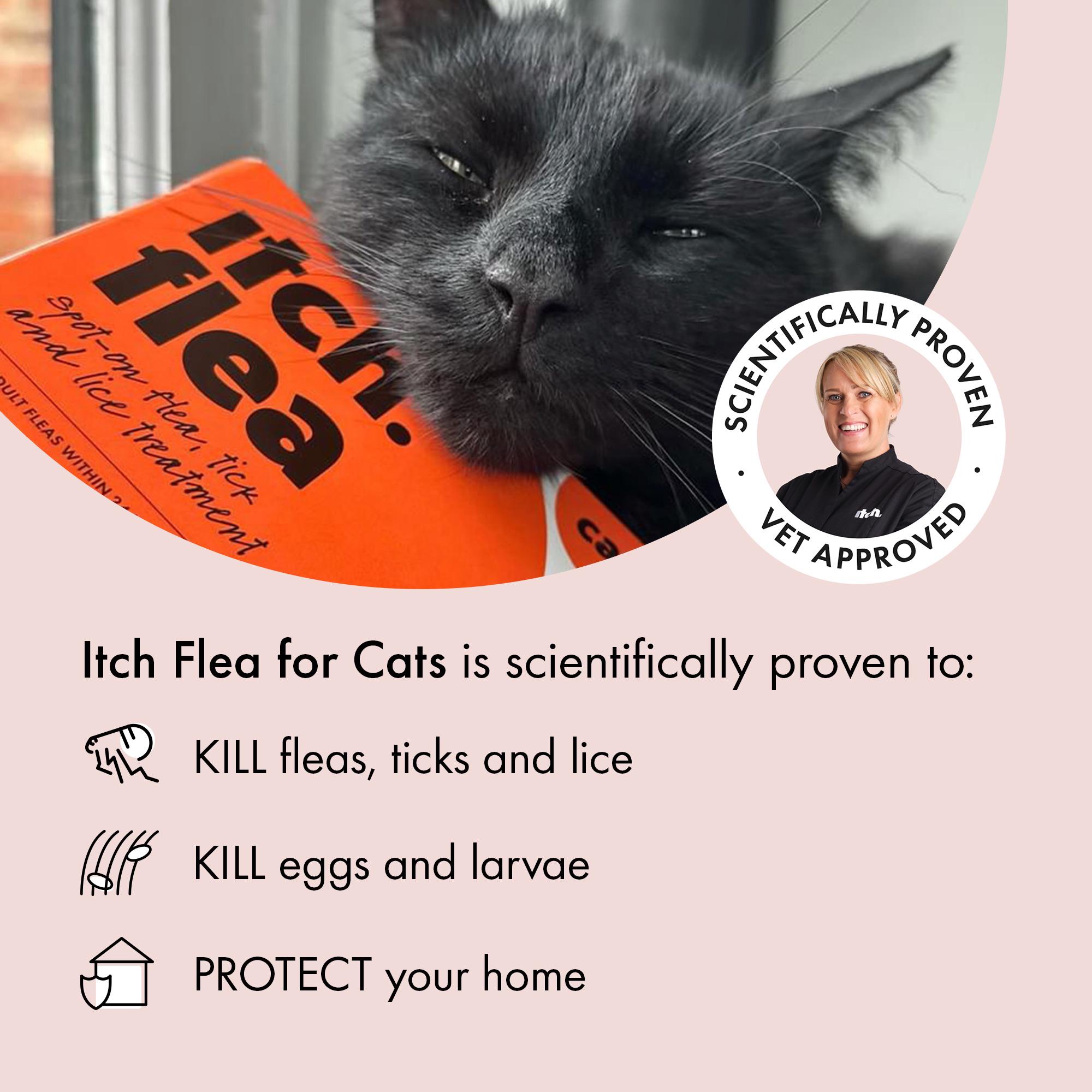Itch Flea Cat Flea & Tick Spot On Treatment 3 Pipette (1kg+) thumbnail 2