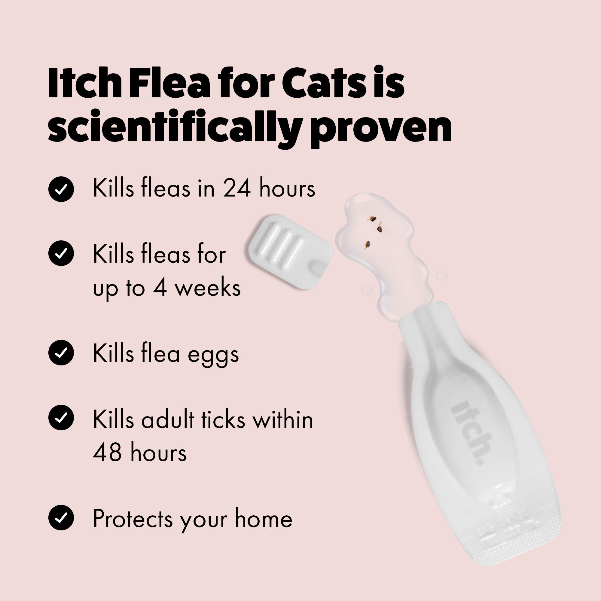 Itch Flea Cat Flea & Tick Spot On Treatment 3 Pipette (1kg+) thumbnail 4