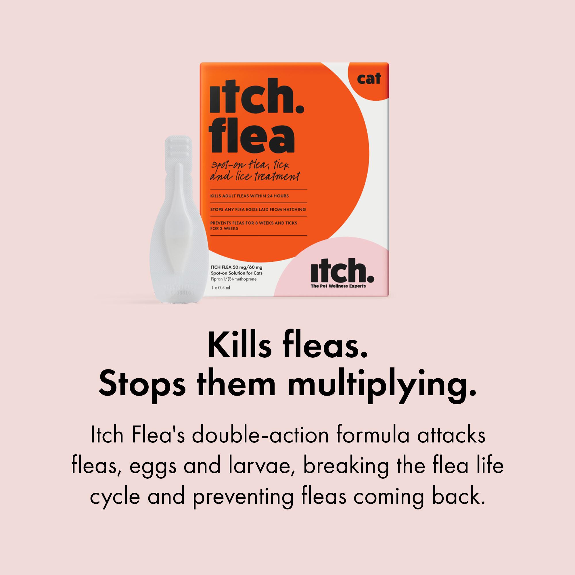 Itch Flea Cat Flea & Tick Spot On Treatment 3 Pipette (1kg+) thumbnail 6