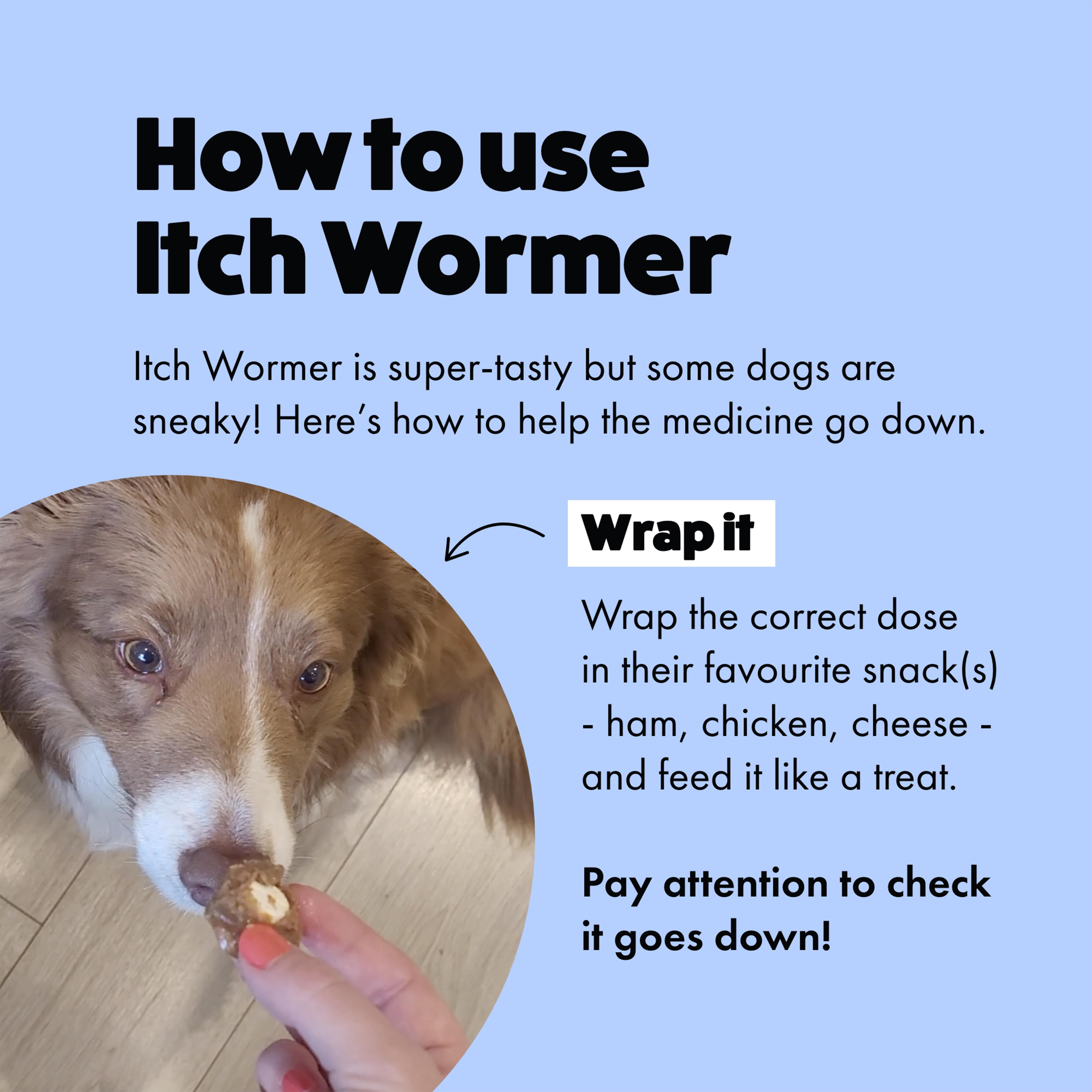 Itch Wormer Dog Worm Tablet Treatment Pack x2 thumbnail 4
