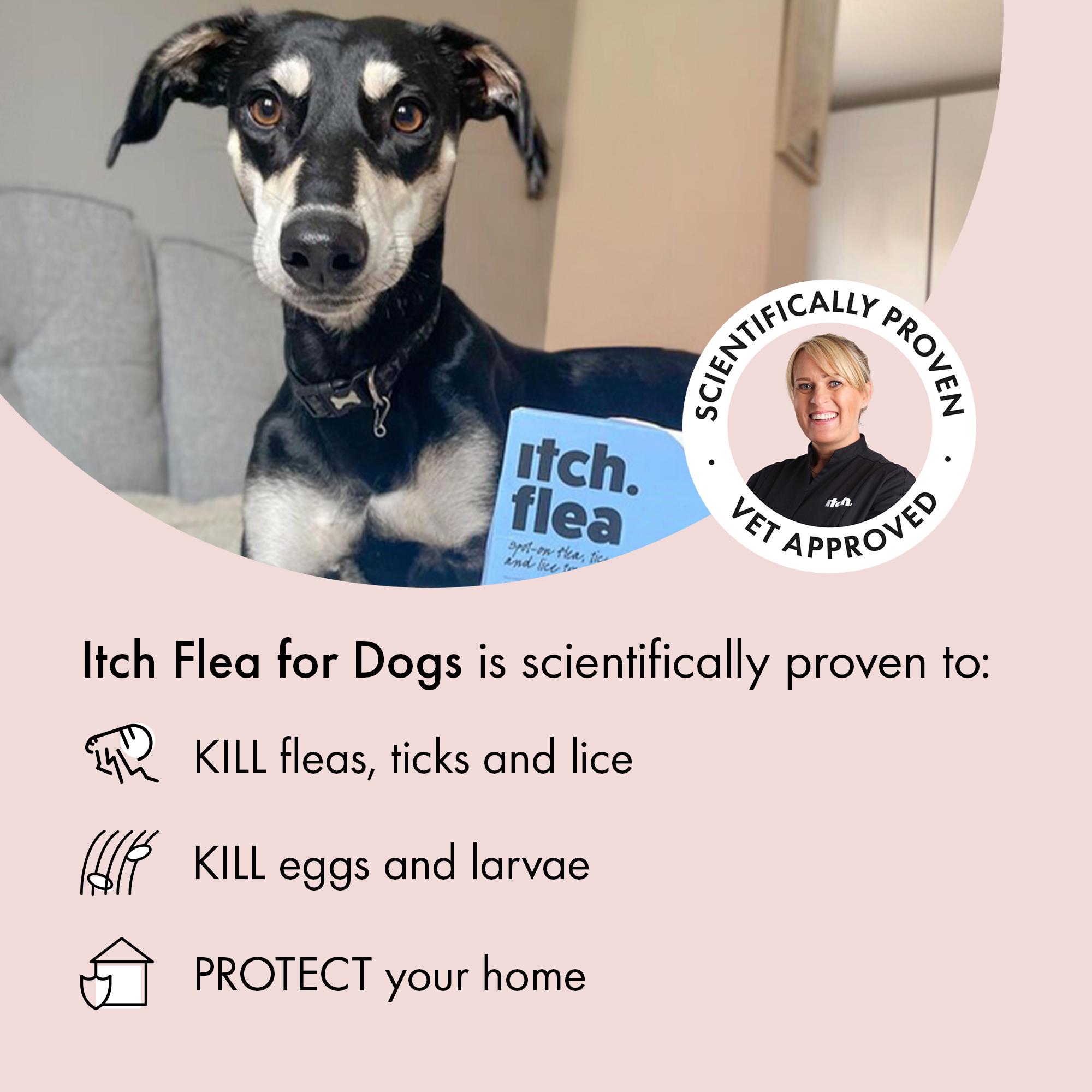 Itch Flea Medium Dog Flea & Tick Spot On Treatment 1 Pipette (10-20kg) thumbnail 2