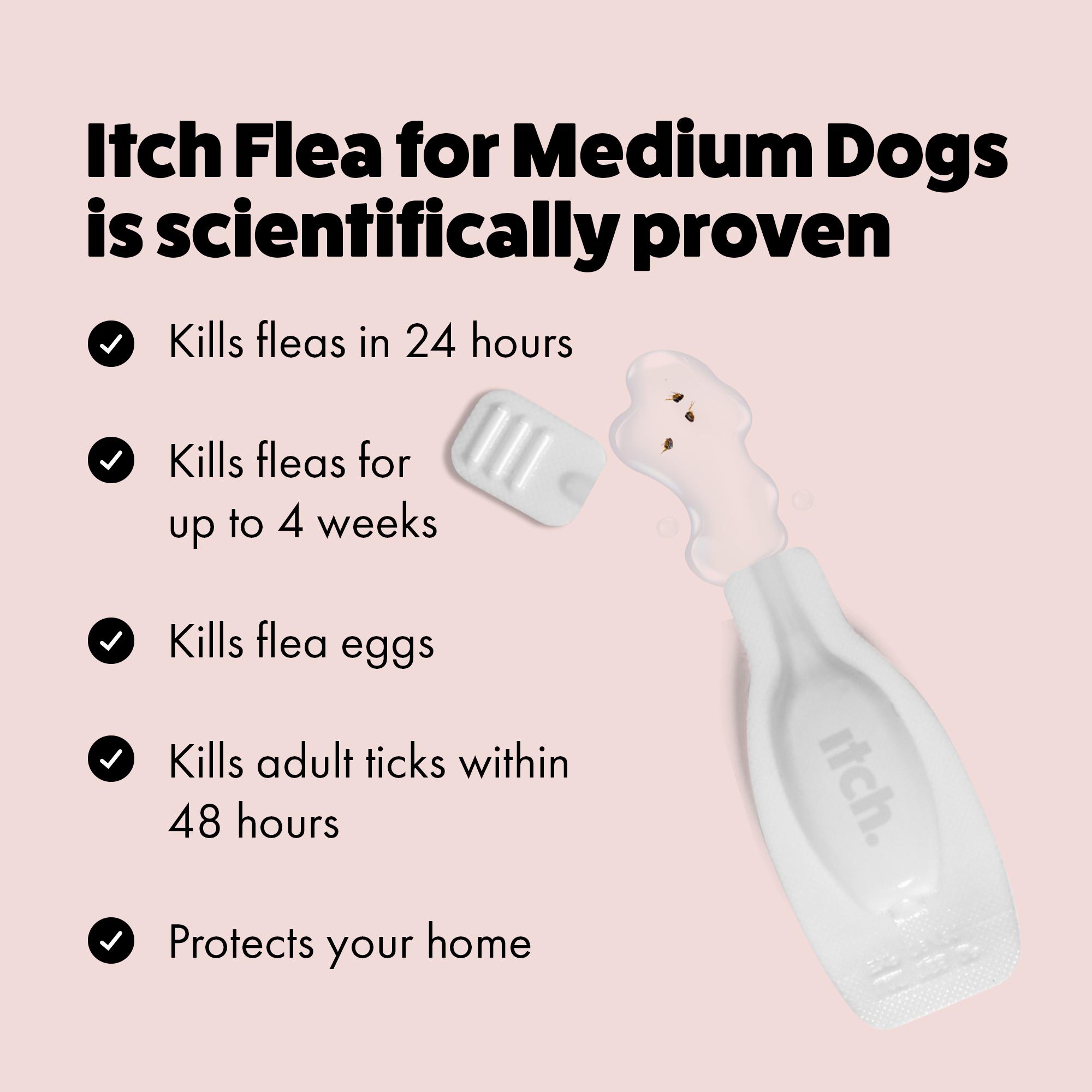 Itch Flea Medium Dog Flea & Tick Spot On Treatment 1 Pipette (10-20kg) thumbnail 4