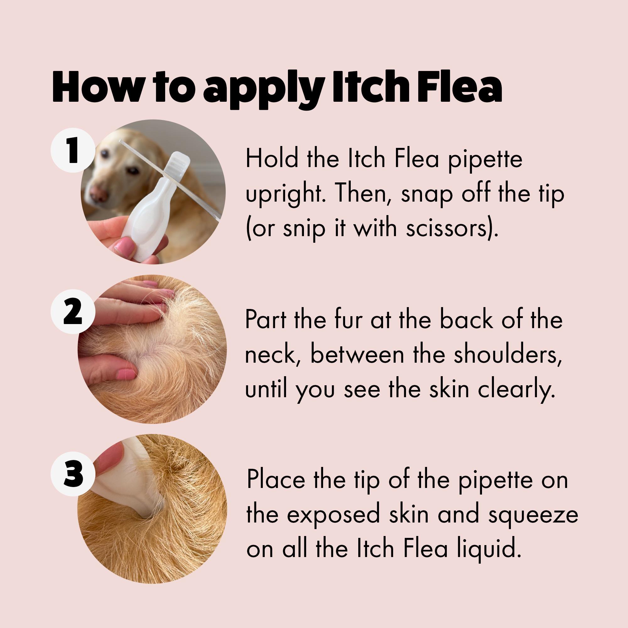 Itch Flea Small Dog Flea & Tick Spot On Treatment 1 Pipette (2-10kg) thumbnail 3