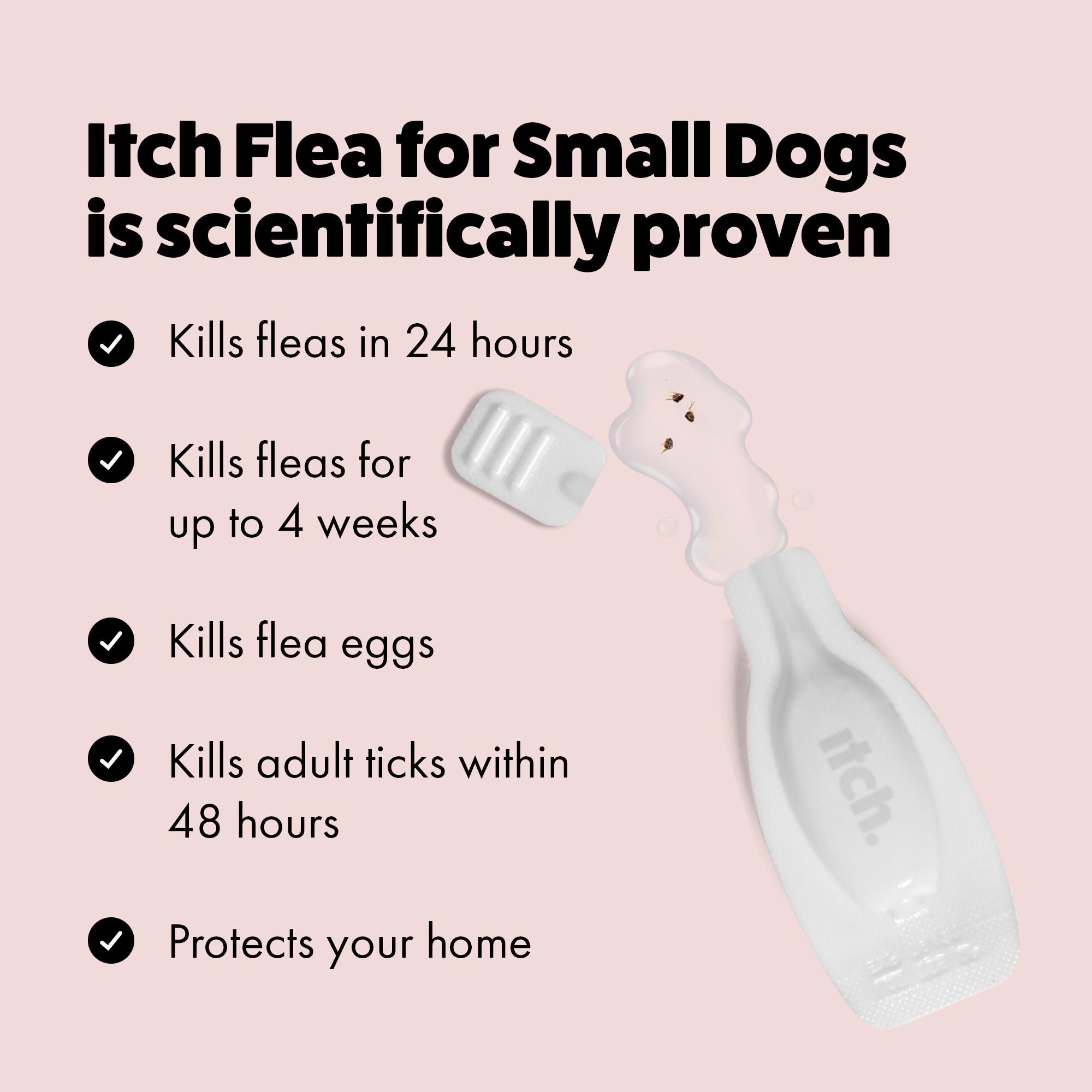 Itch Flea Small Dog Flea & Tick Spot On Treatment 1 Pipette (2-10kg) thumbnail 4