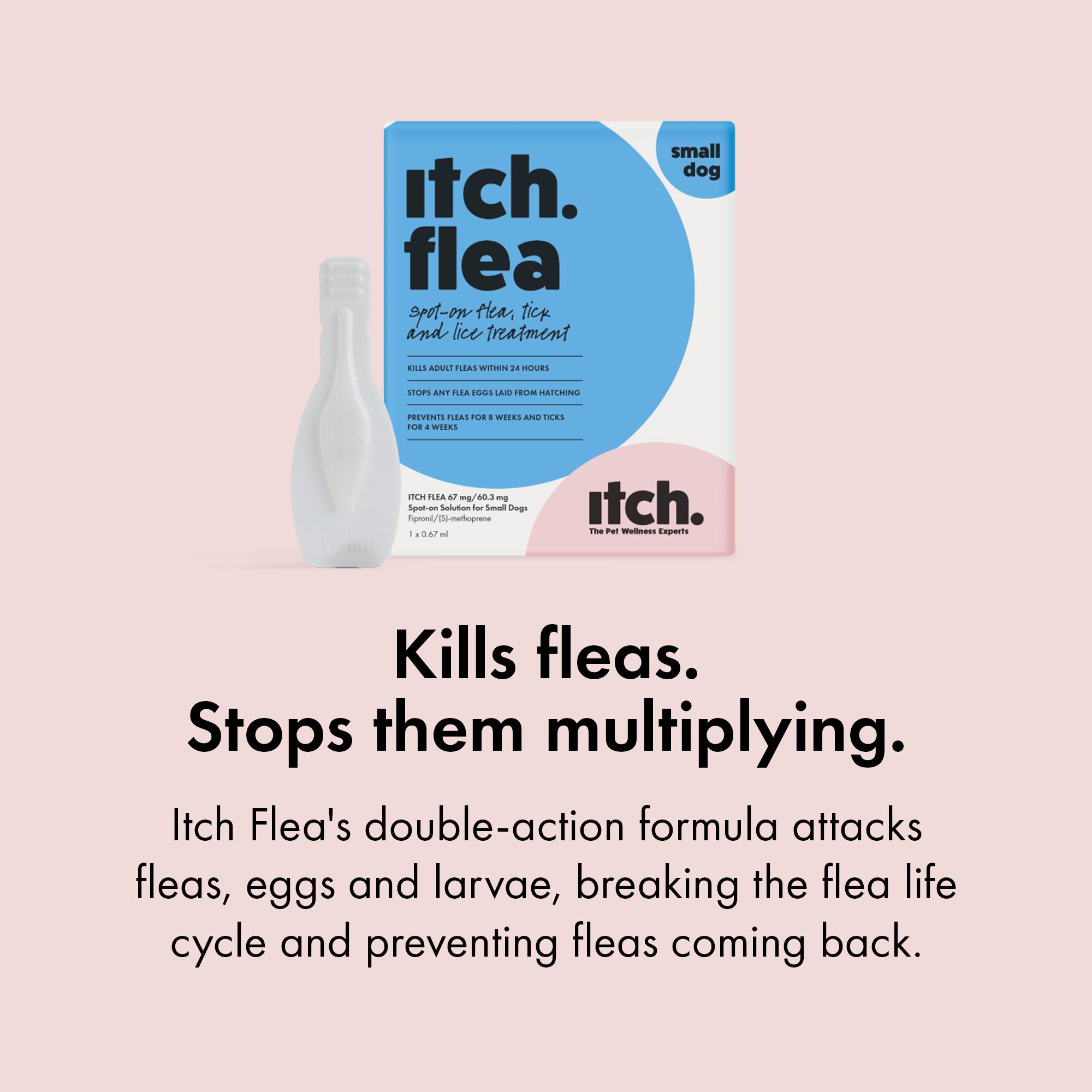Itch Flea Small Dog Flea & Tick Spot On Treatment 1 Pipette (2-10kg) thumbnail 6