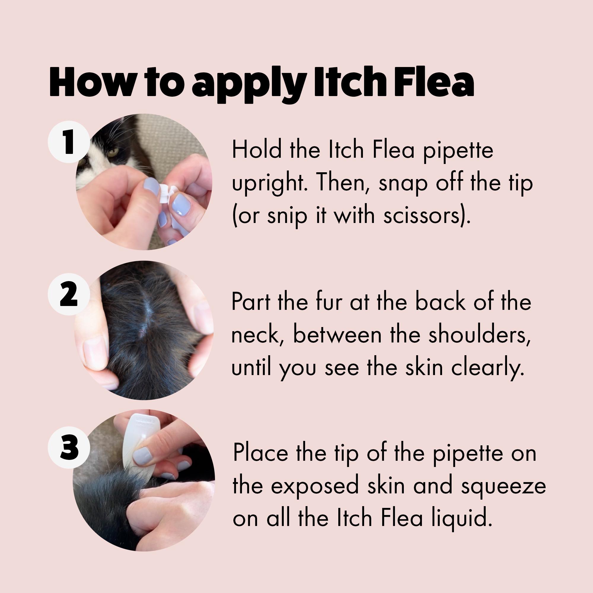 Itch Flea Cats Flea & Tick Spot On Treatment 1 Pipette (1kg+) thumbnail 3