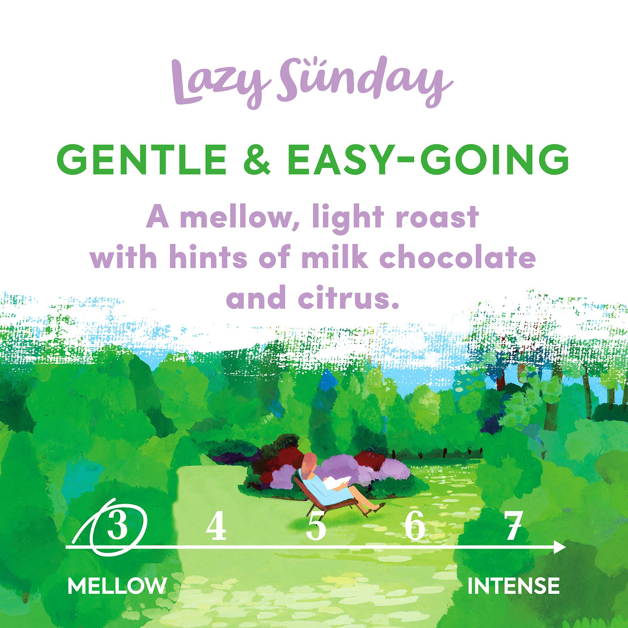 Taylors of Harrogate Lazy Sunday Roast Ground Coffee 400g thumbnail 2