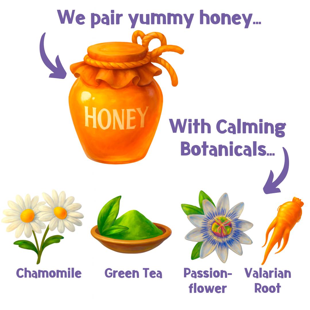 Park Life Petflix & Chill Bix Star Shaped Honey Chamomile Calming Dog Treats Biscuits 100g thumbnail 6